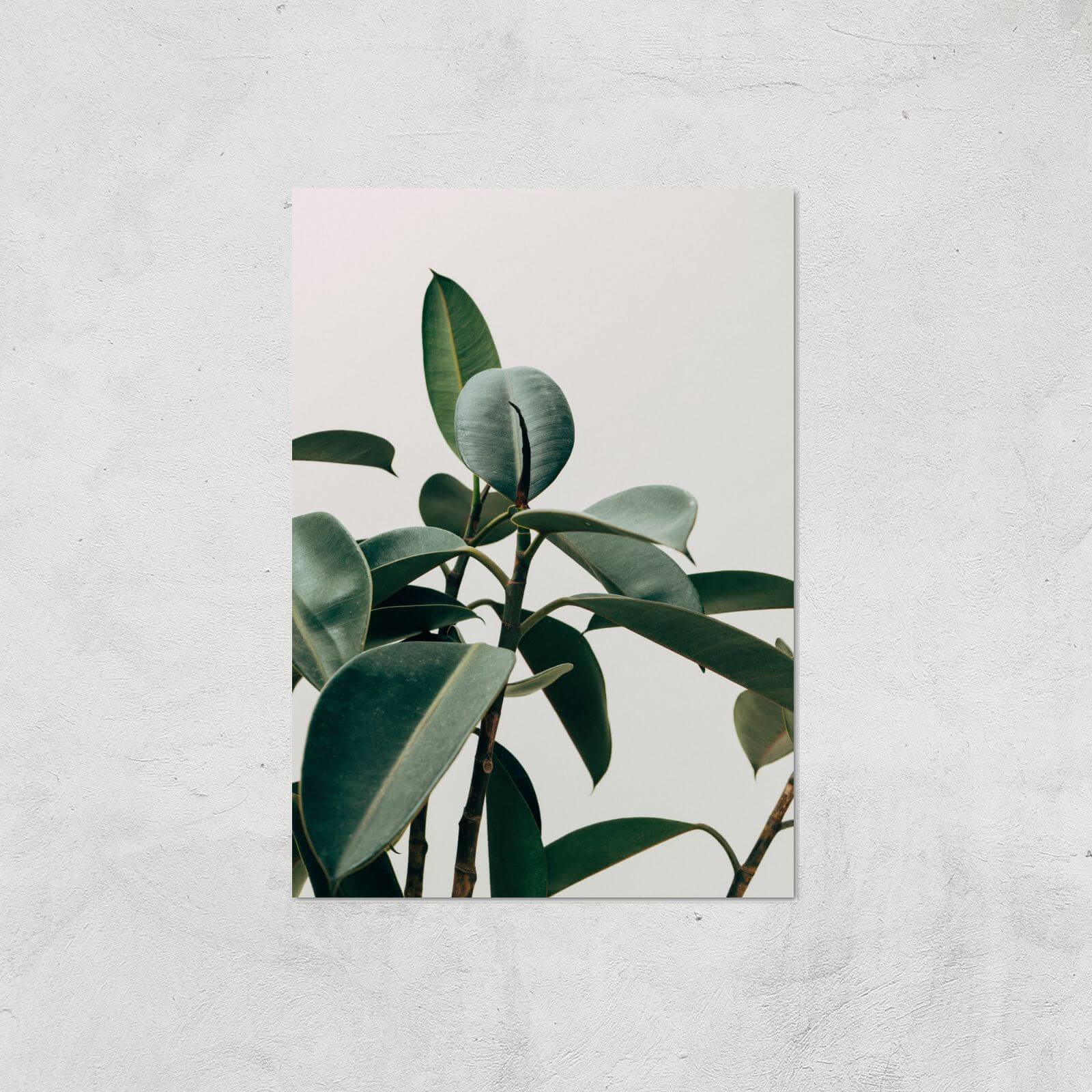 Thick Leaves Giclee Art Print - A4 - Print Only