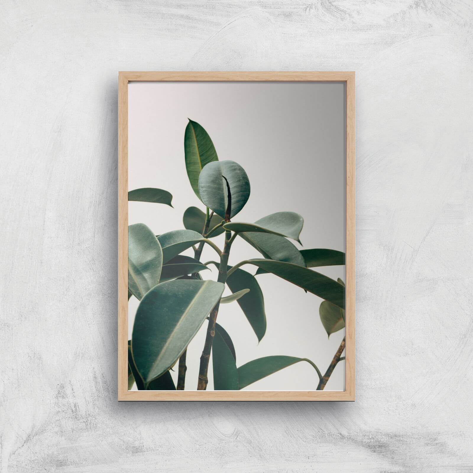 Thick Leaves Giclee Art Print - A3 - Wooden Frame