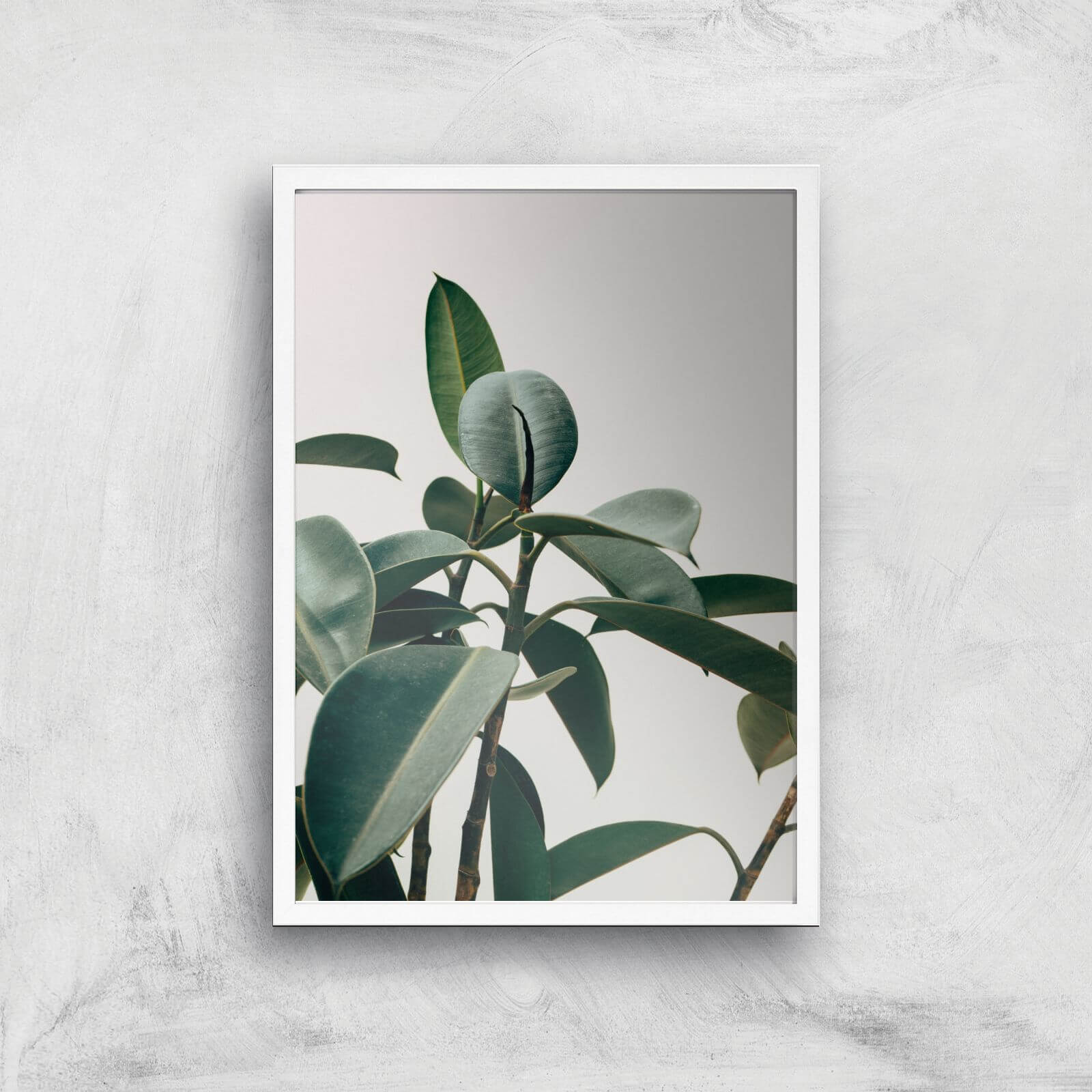 Thick Leaves Giclee Art Print - A3 - White Frame