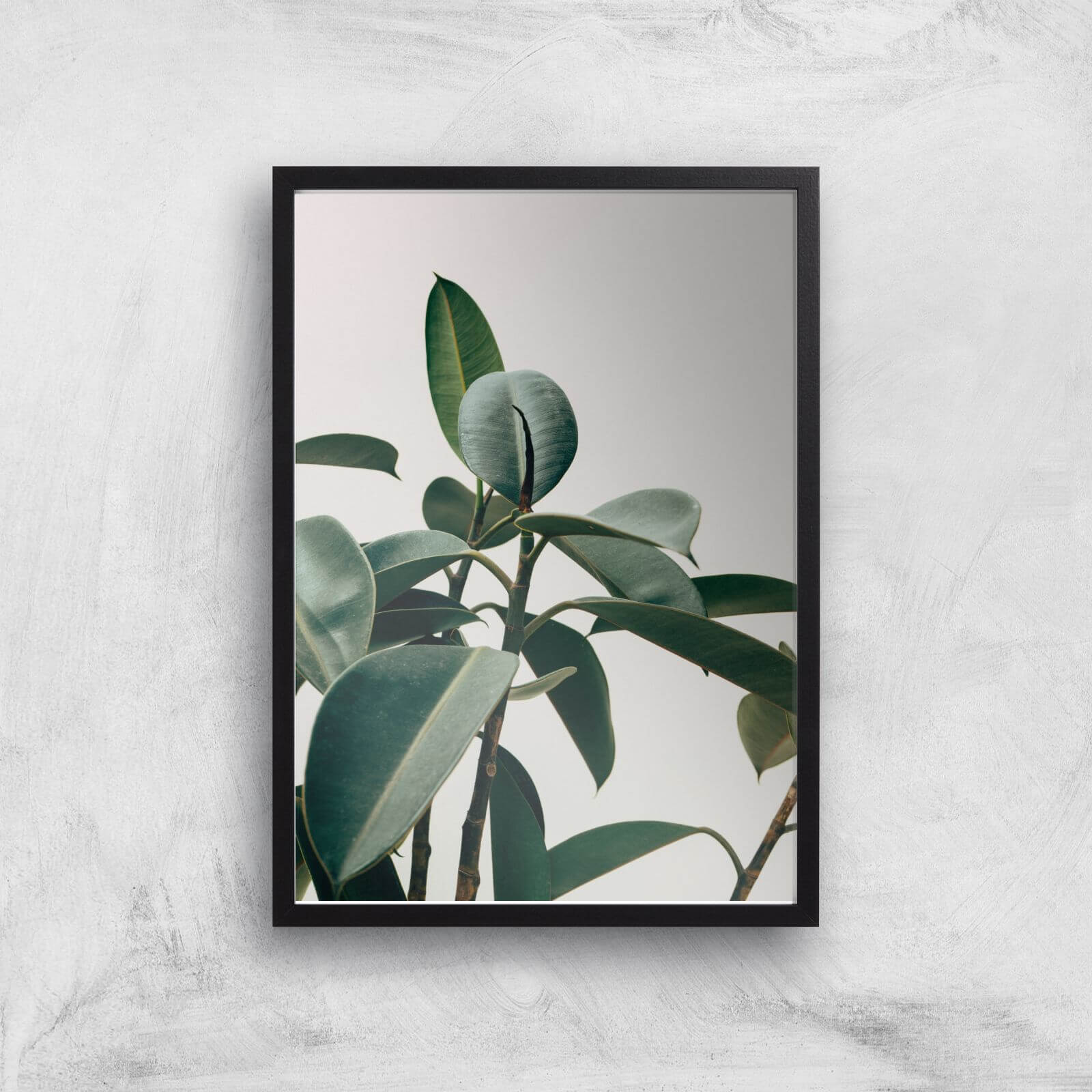 Thick Leaves Giclee Art Print - A3 - Black Frame