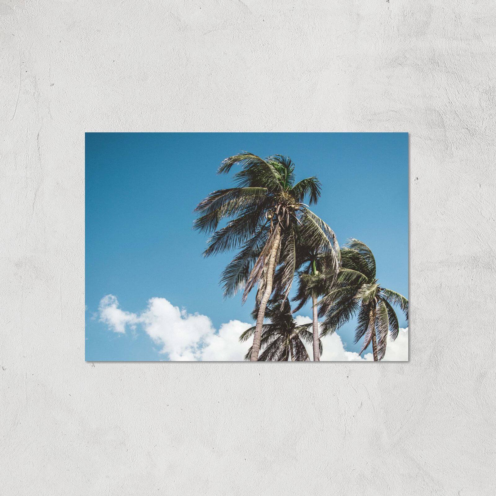 Palm Trees Giclee Art Print - A4 - Print Only