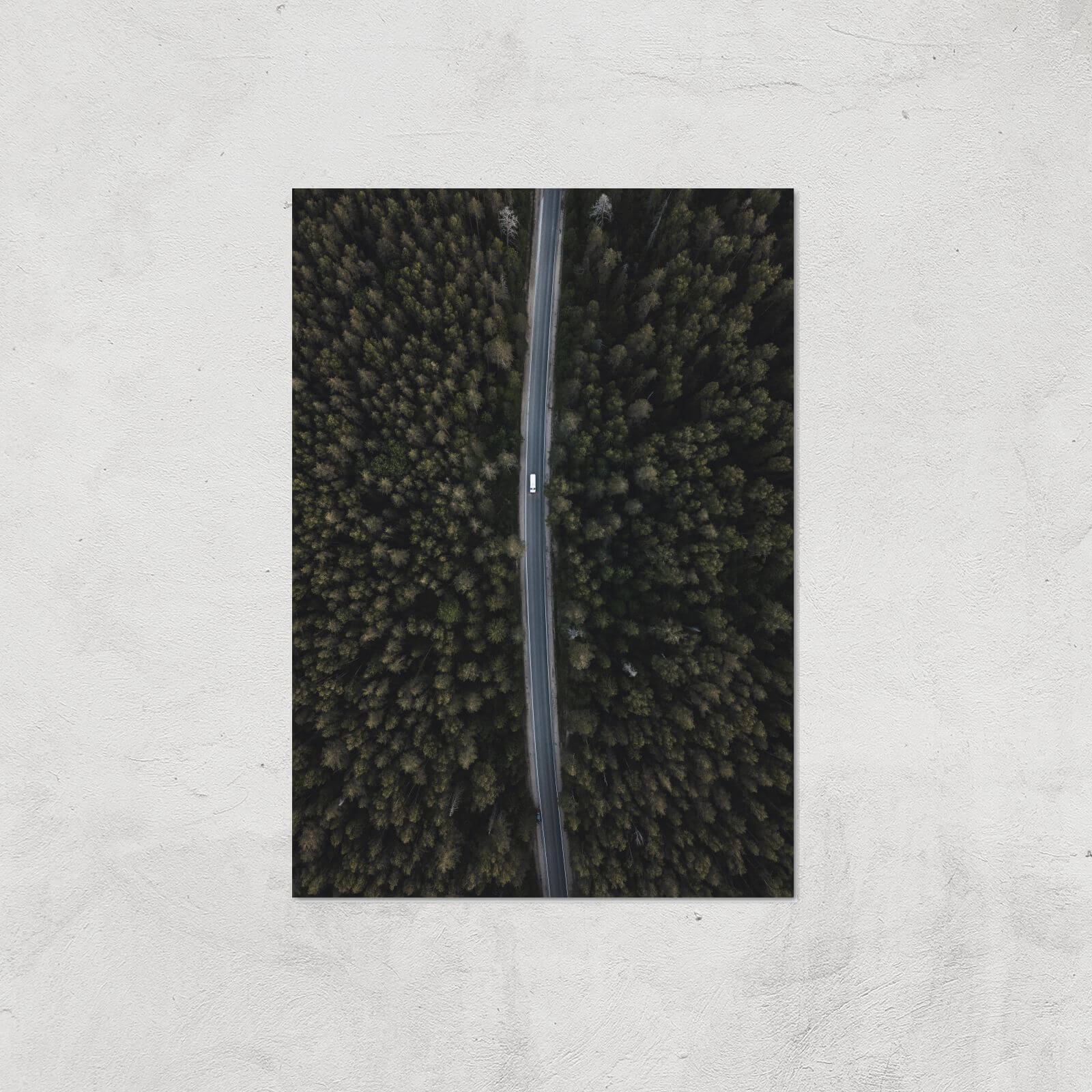 Forest Short Cut Giclee Art Print - A2 - Print Only