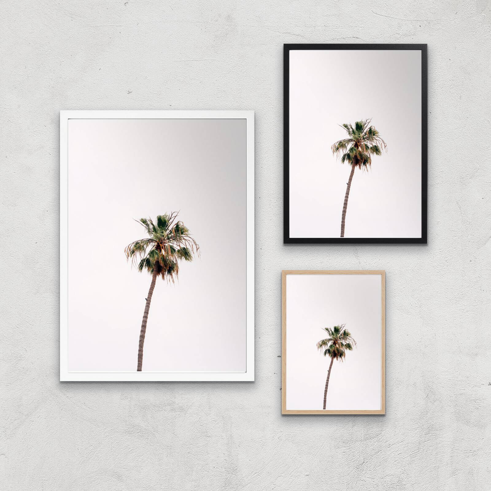 Lonely Palm Tree Giclee Art Print - A4 - Print Only