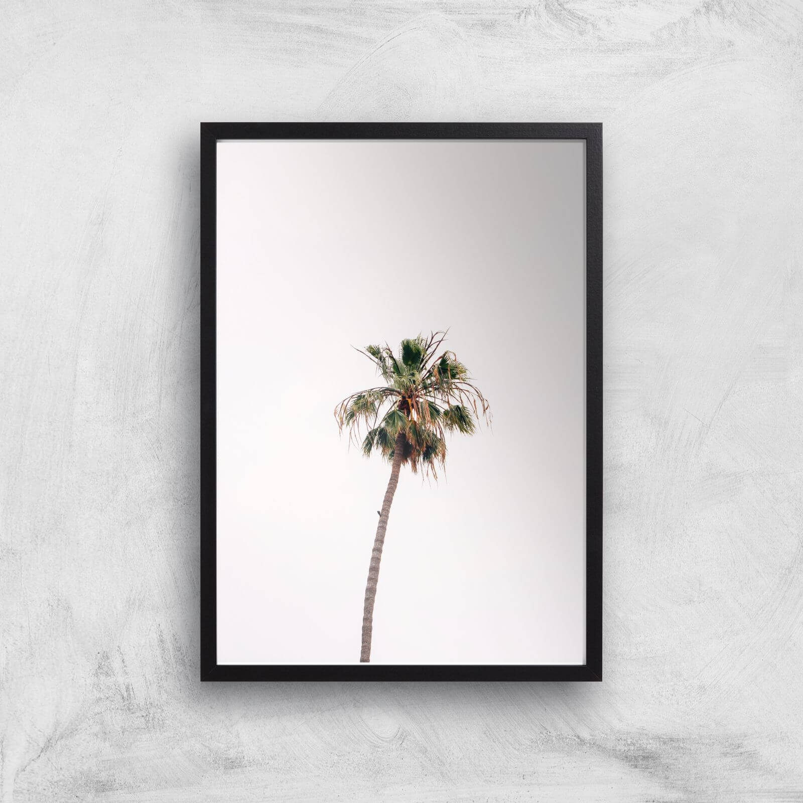 Lonely Palm Tree Giclee Art Print - A3 - Black Frame