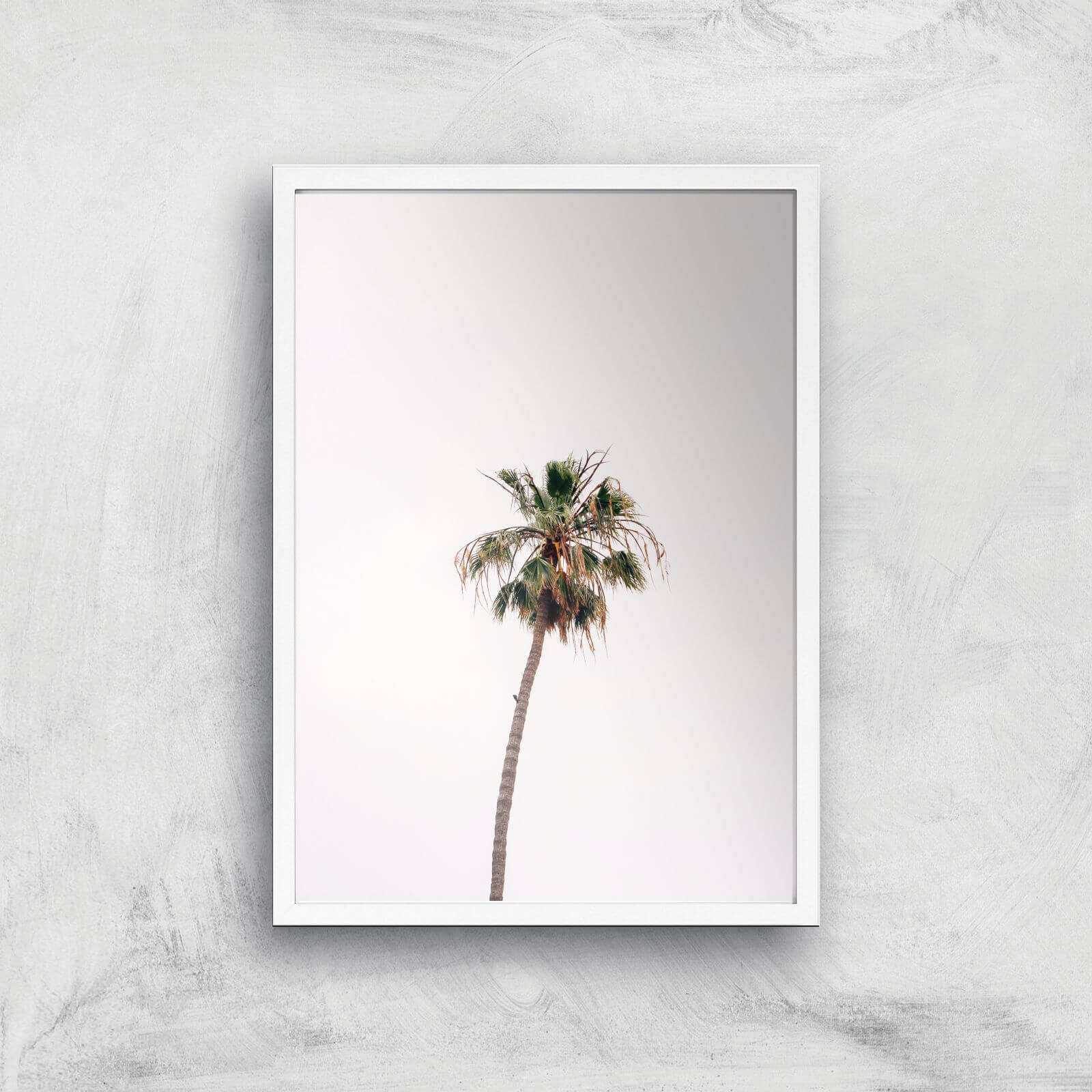 Lonely Palm Tree Giclee Art Print - A2 - White Frame