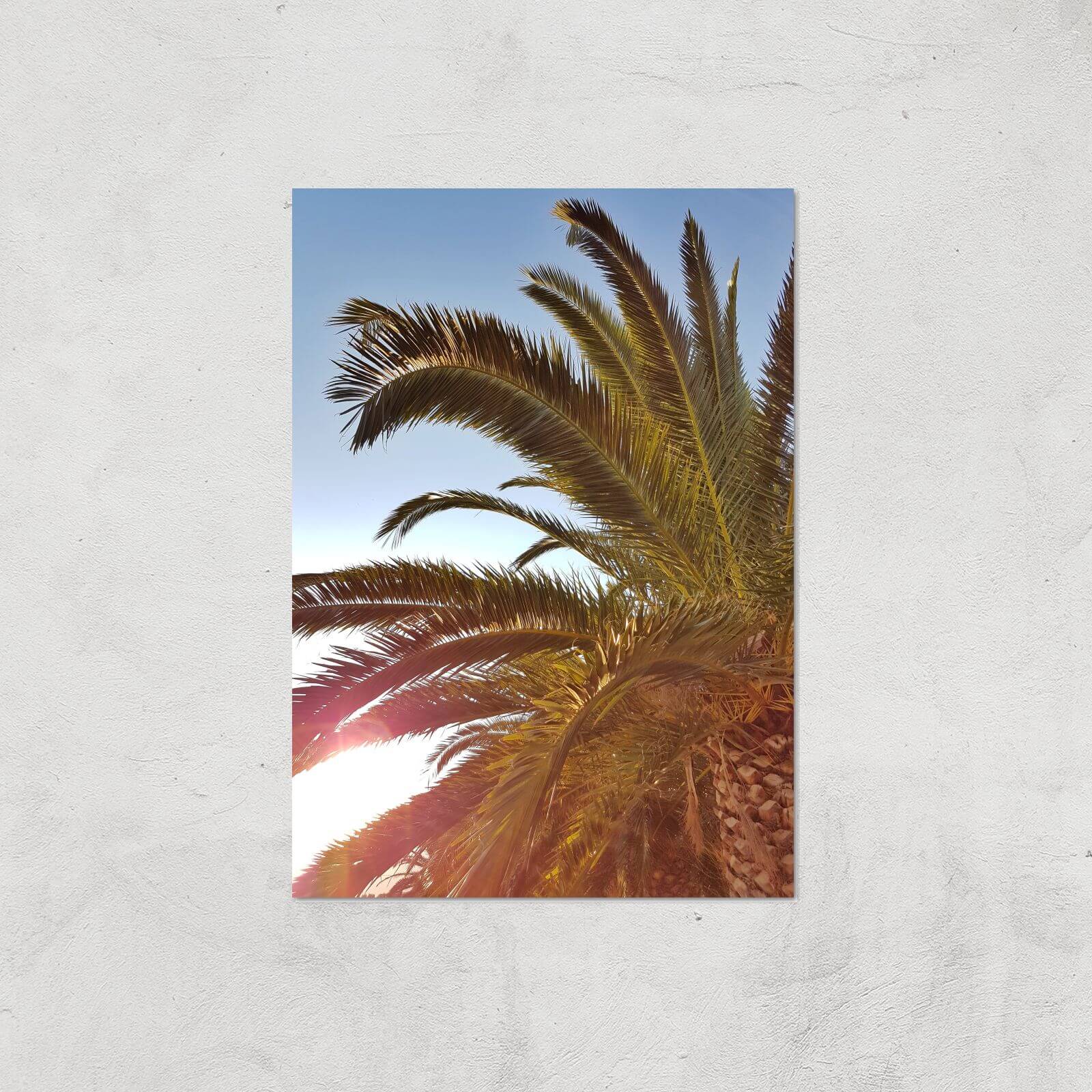 Palm Leaves Sun Glare Giclee Art Print - A4 - Print Only