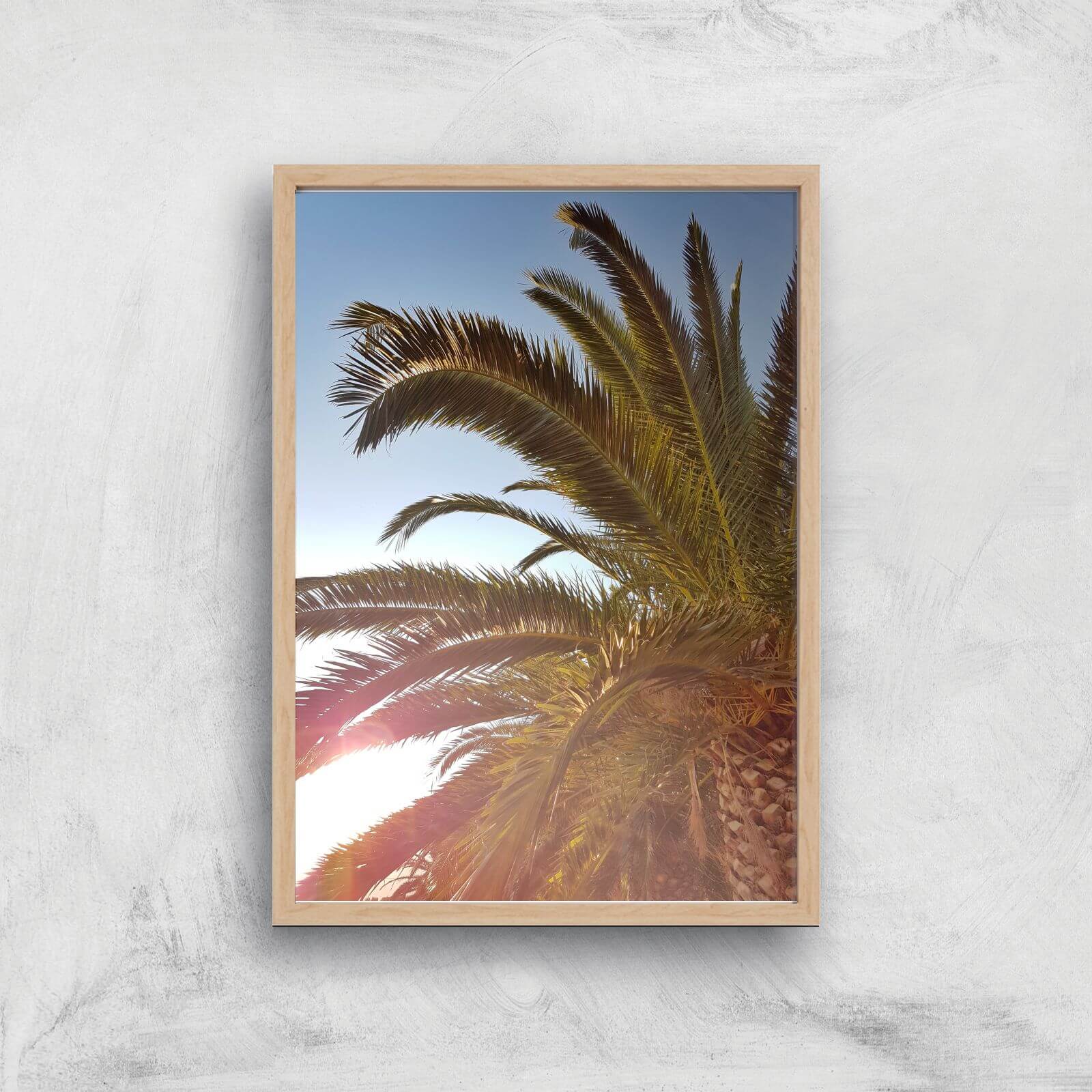 Palm Leaves Sun Glare Giclee Art Print - A3 - Wooden Frame