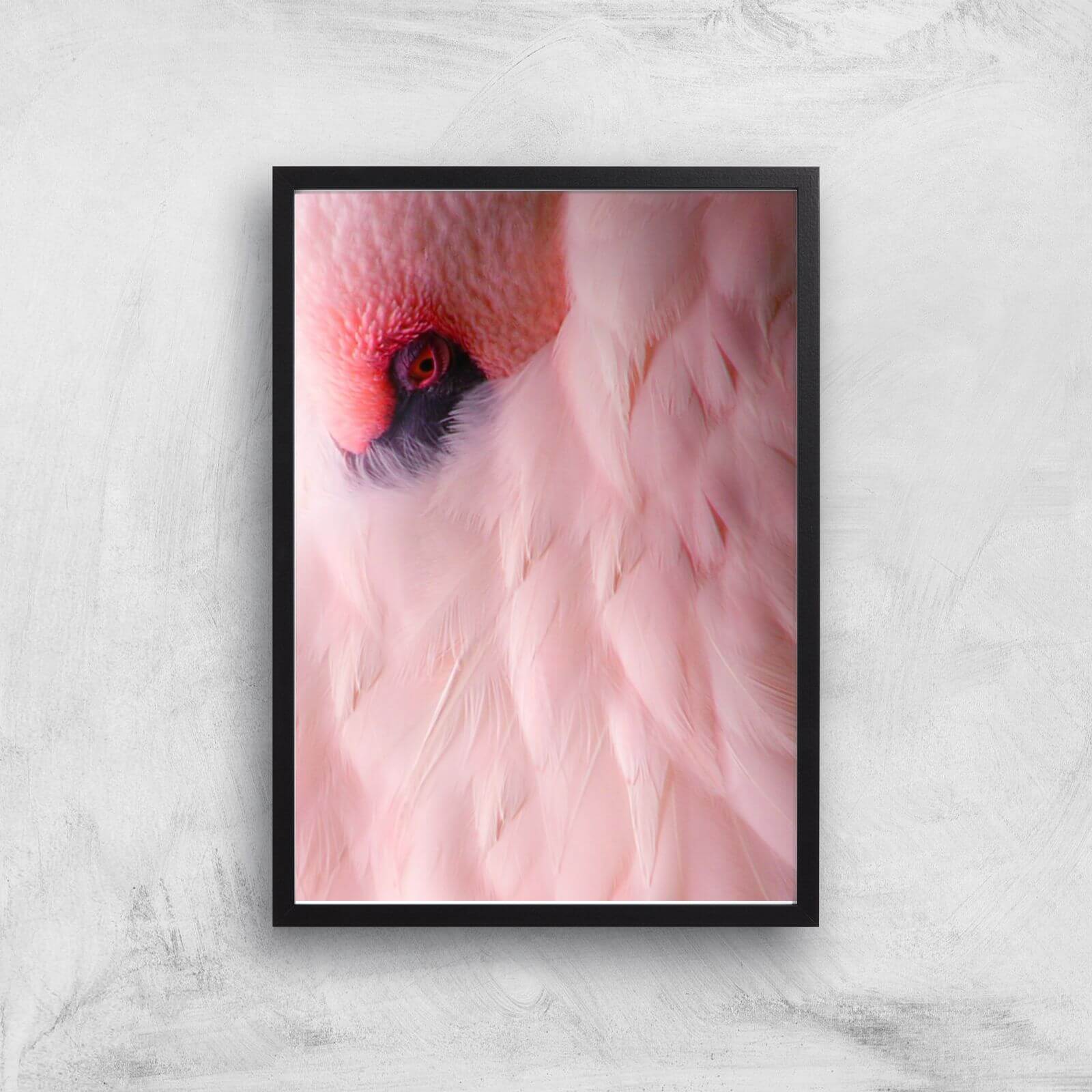 Bubblegum Giclee Art Print - A2 - Black Frame