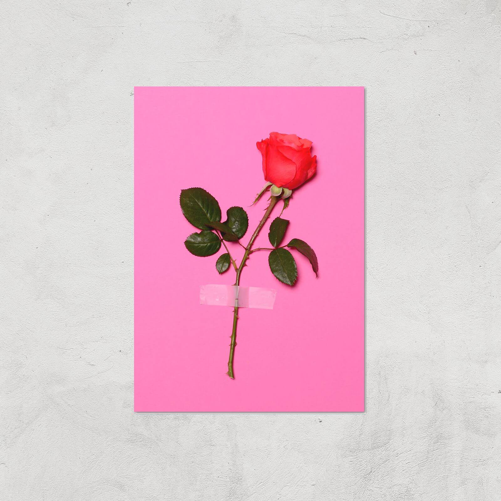 Wallflower Giclee Art Print - A4 - Print Only