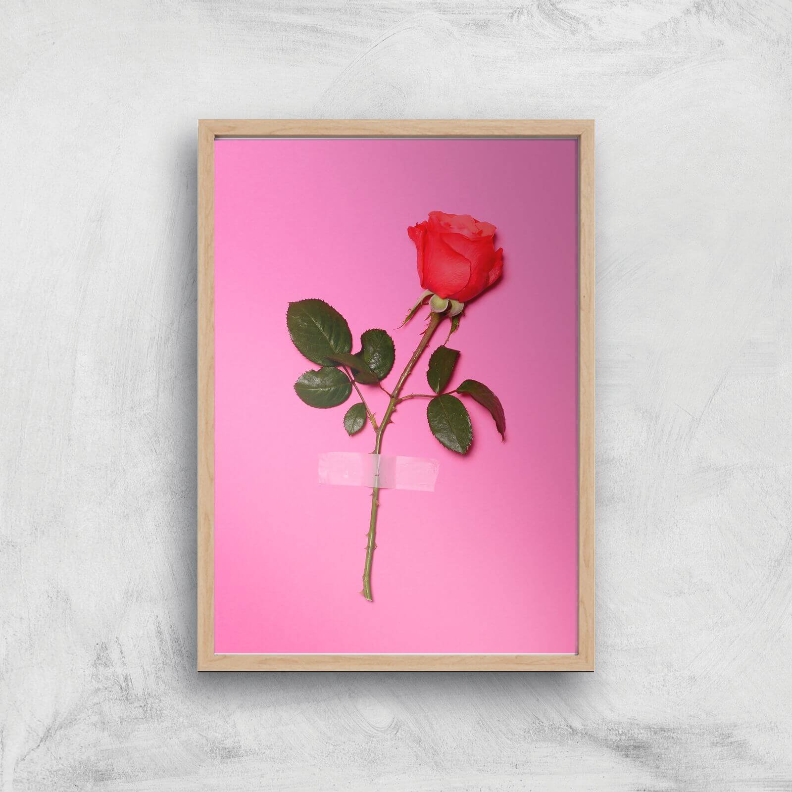 Wallflower Giclee Art Print - A4 - Wooden Frame