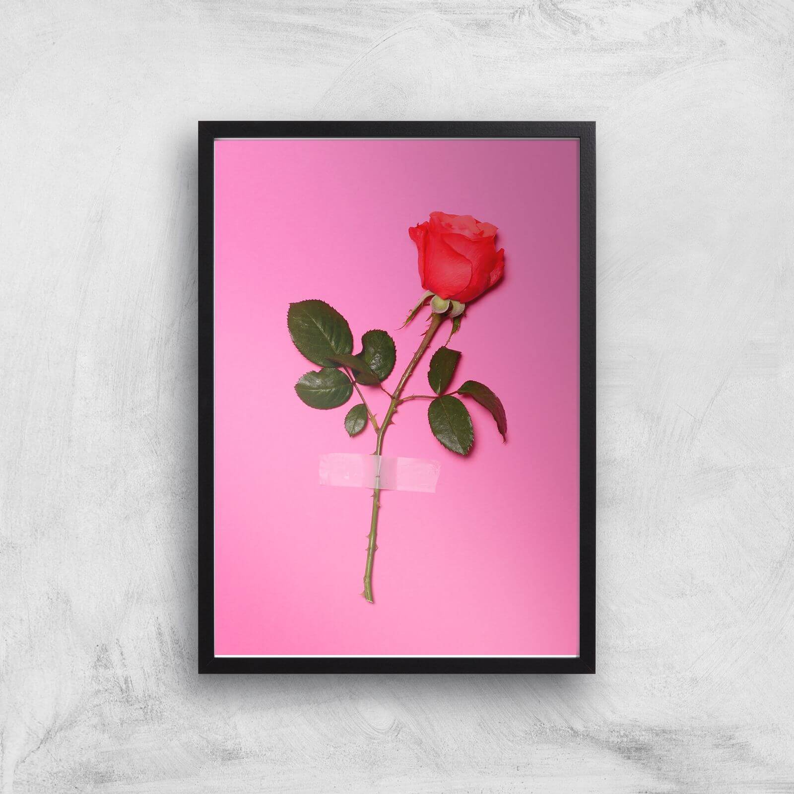 Wallflower Giclee Art Print - A3 - Black Frame