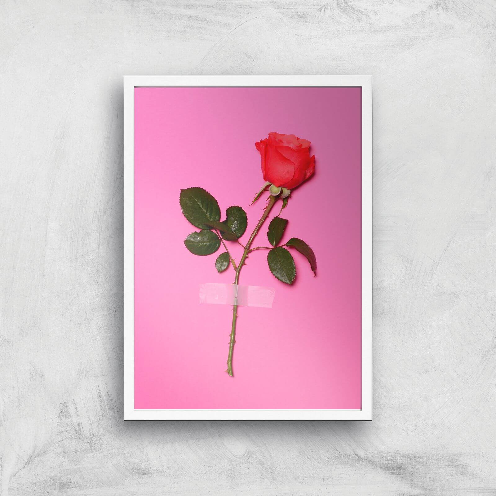 Wallflower Giclee Art Print - A2 - White Frame