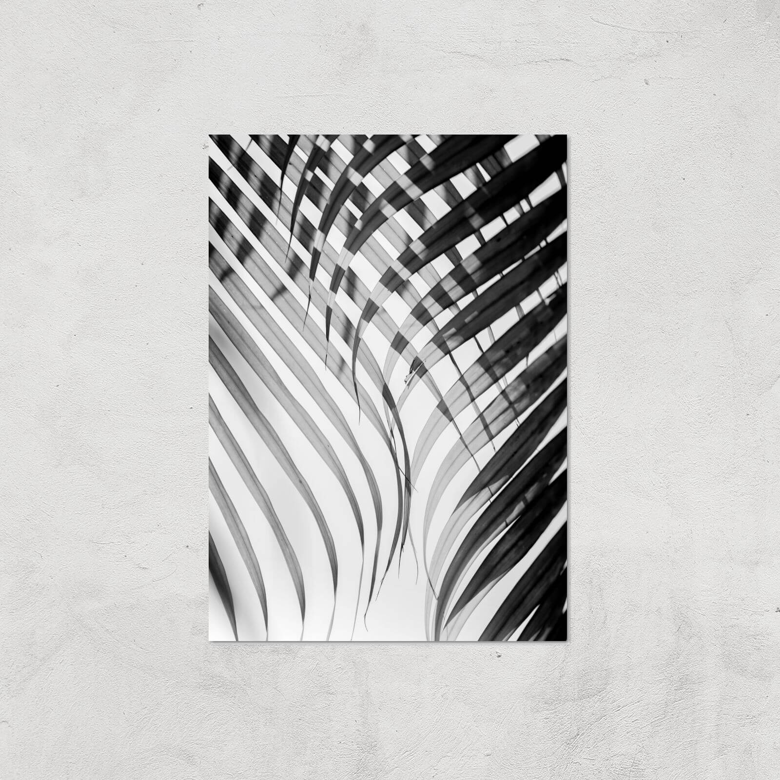 Tropical Curtain Giclee Art Print - A4 - Print Only
