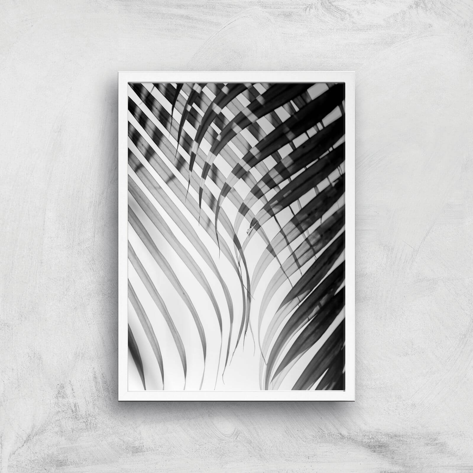 Tropical Curtain Giclee Art Print - A2 - White Frame