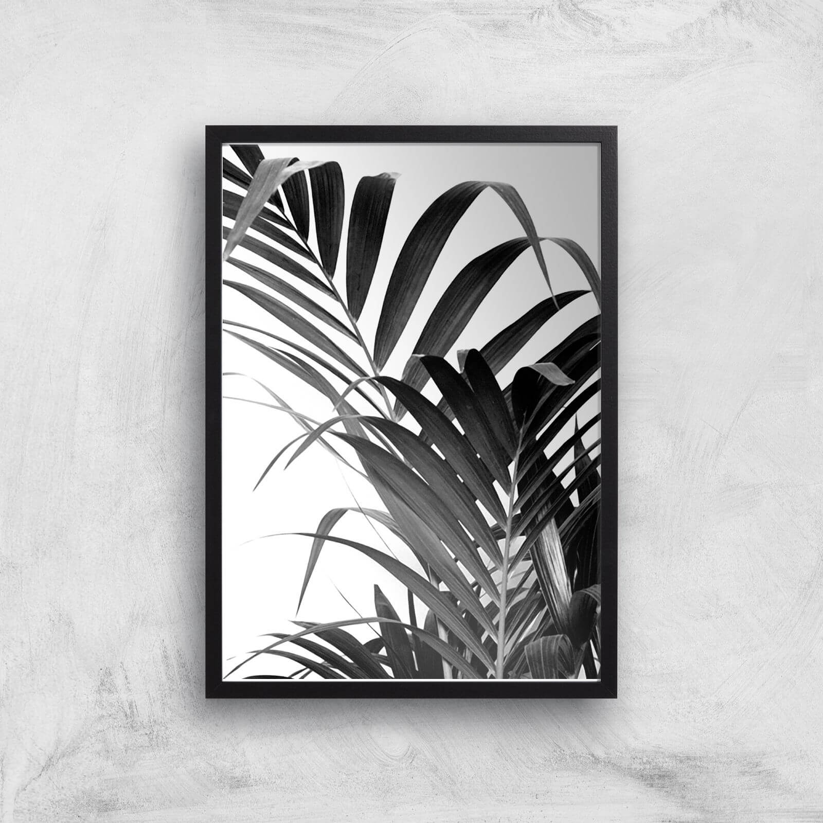 Palm Life Giclee Art Print - A3 - Black Frame