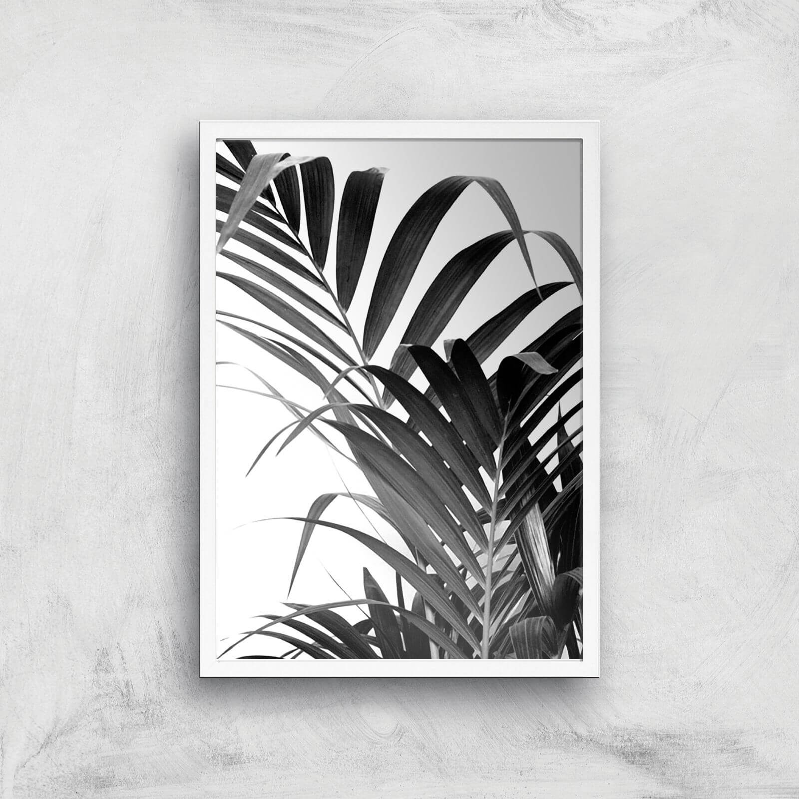 Palm Life Giclee Art Print - A2 - White Frame