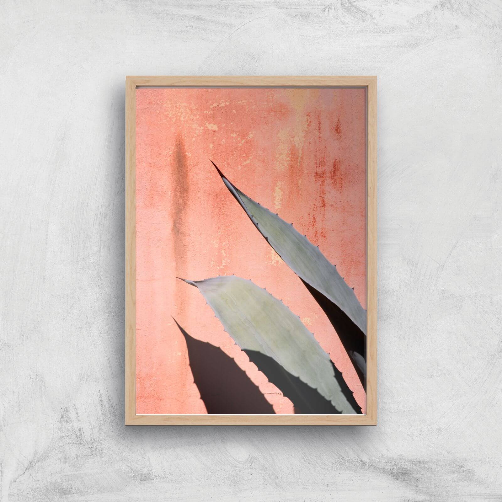 Peach Cactus Giclee Art Print - A4 - Wooden Frame