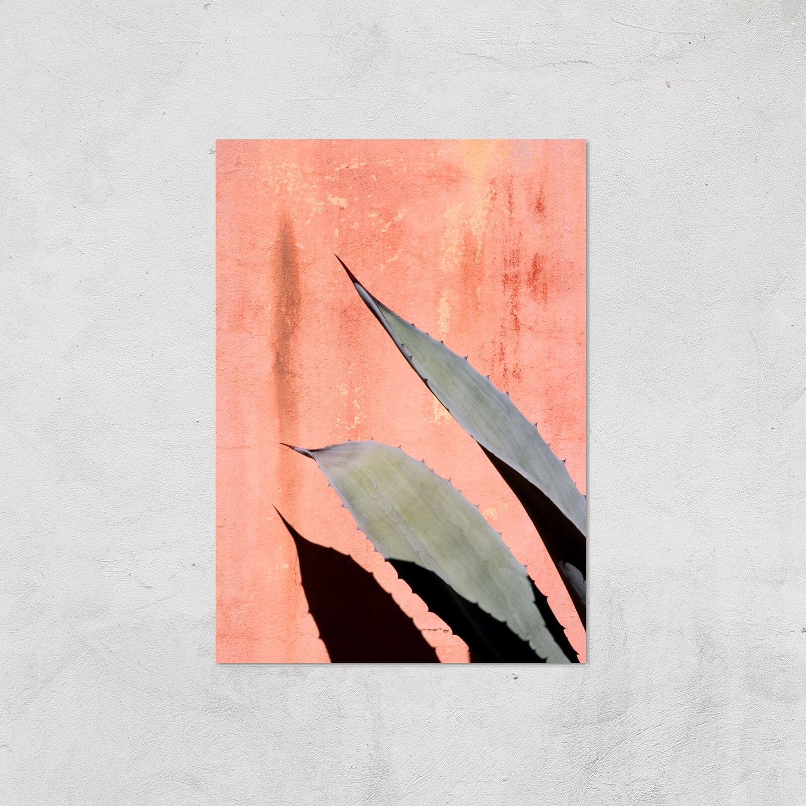 Peach Cactus Giclee Art Print - A2 - Print Only