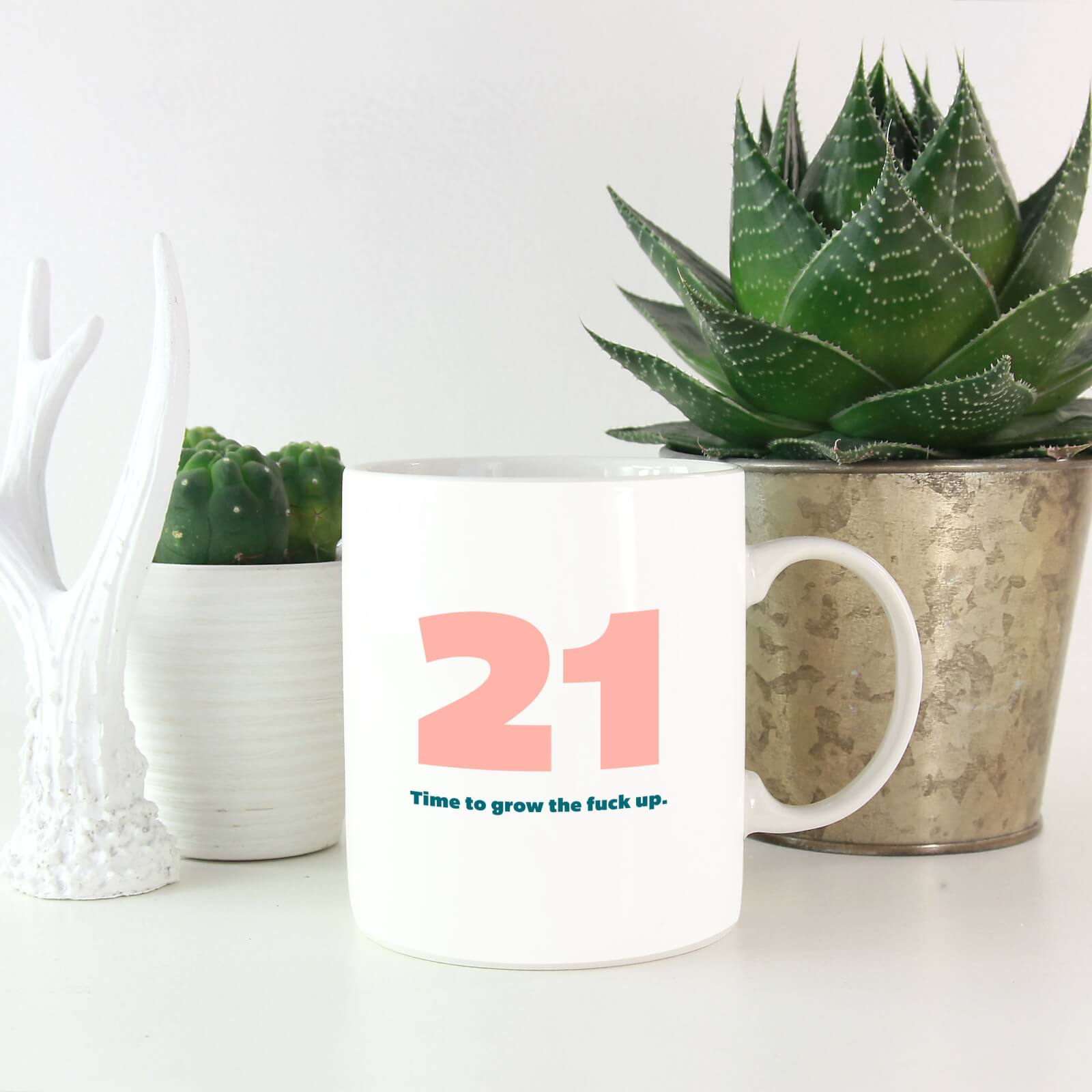 21 Time To Grow The Fuck Up. Mug