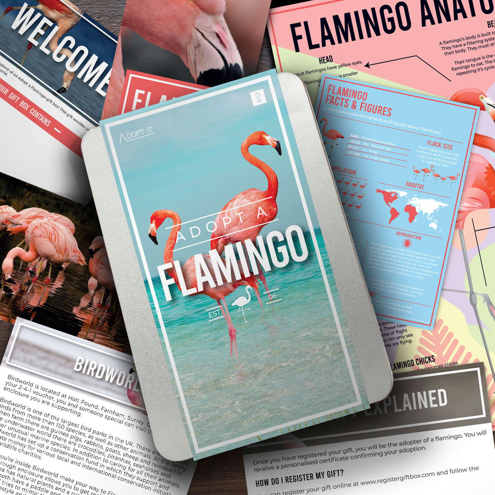 Adopt a Flamingo