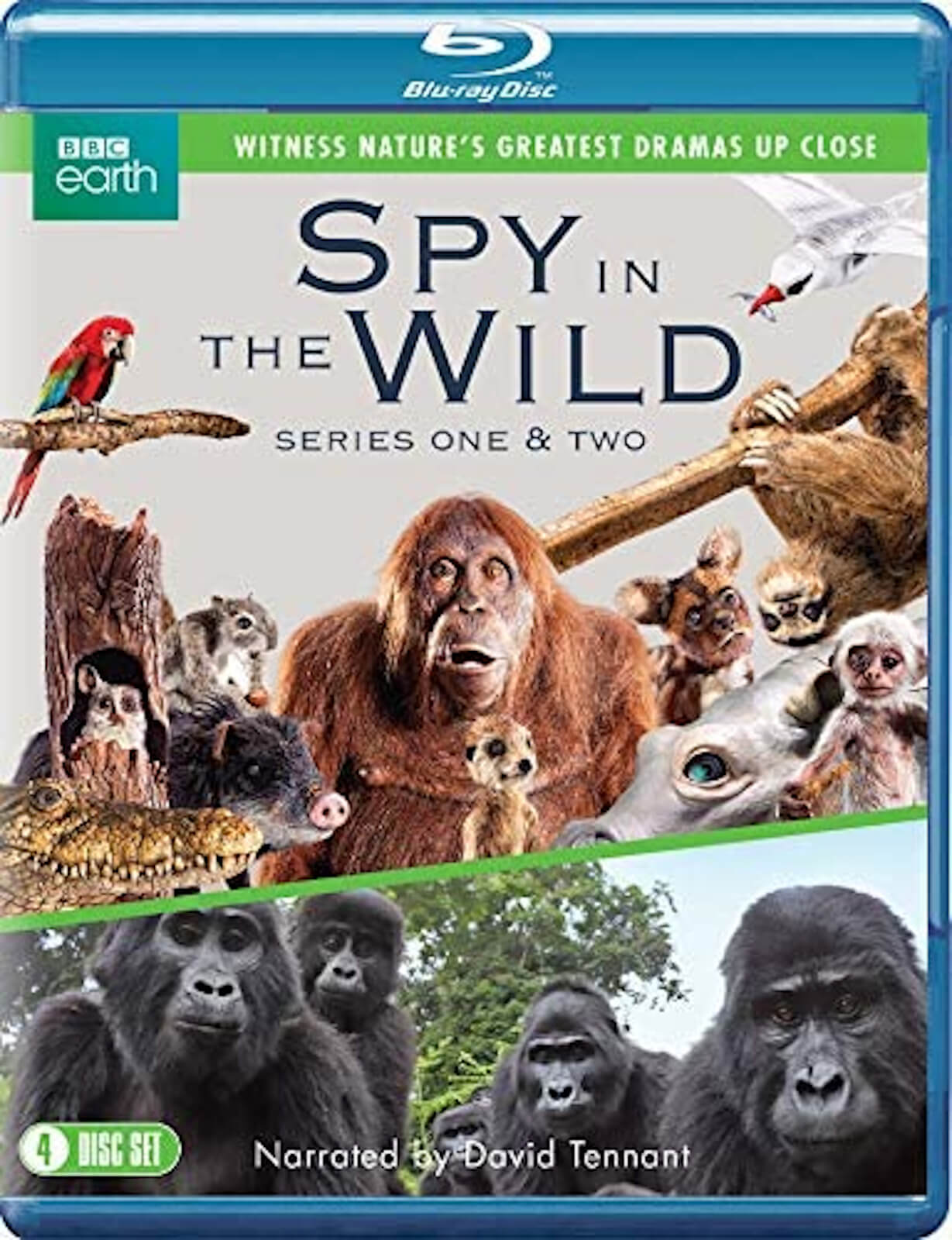 

Espions de la vie sauvage : Saisons 1-2