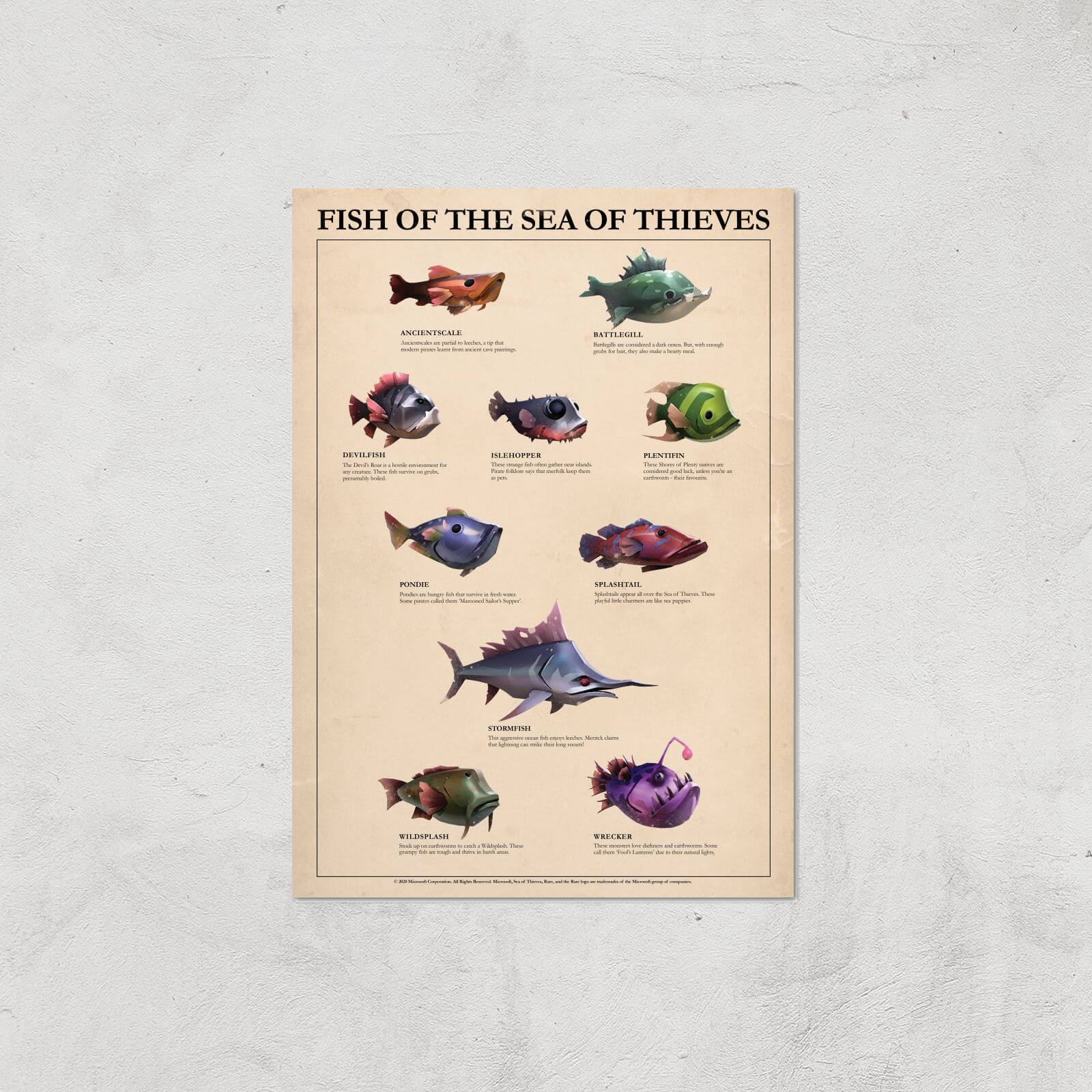 

Fish Of The Sea Of Thieves Giclee Art Print - A4 - Print Only