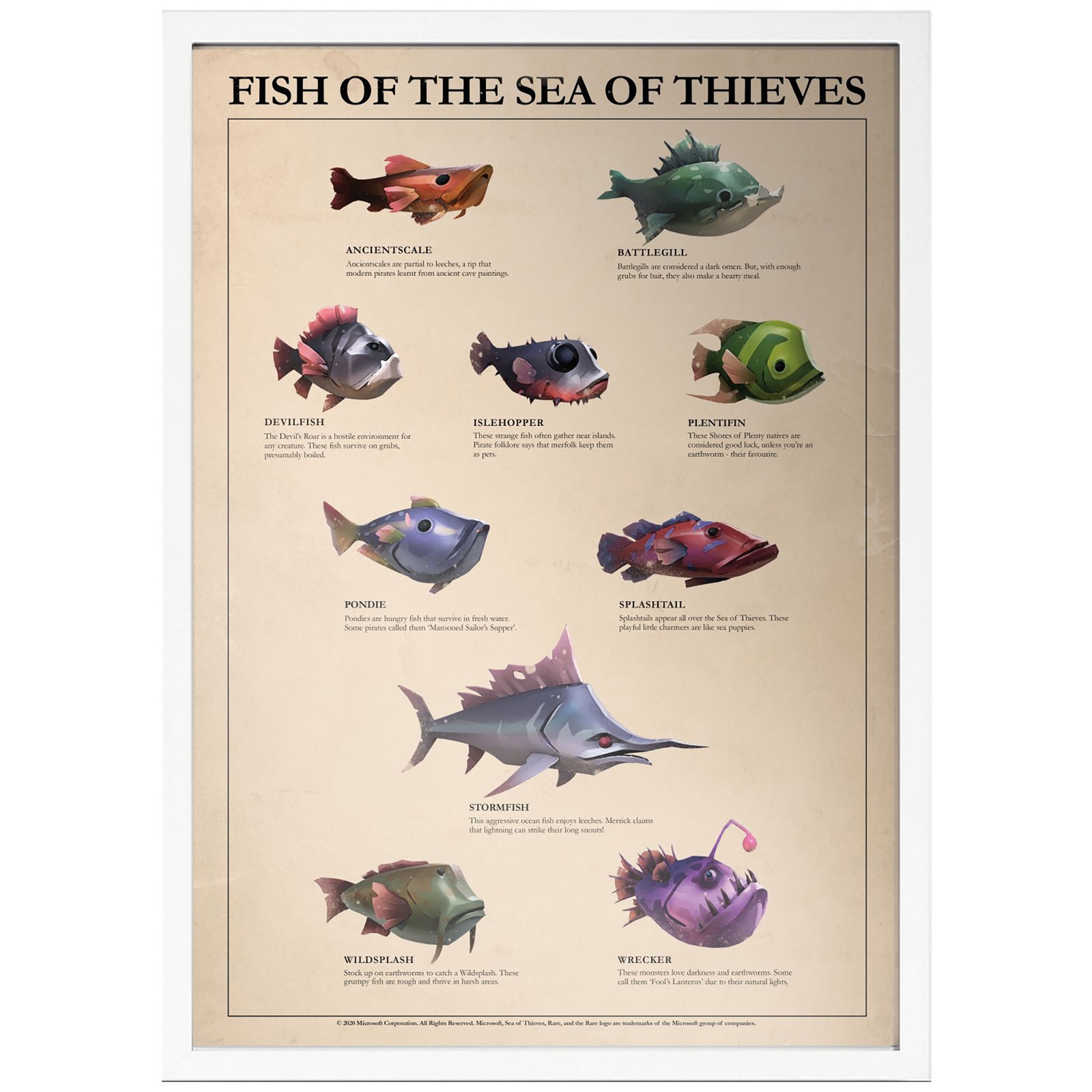 Fish Of The Sea Of Thieves Giclee Art Print - A4 - White Frame