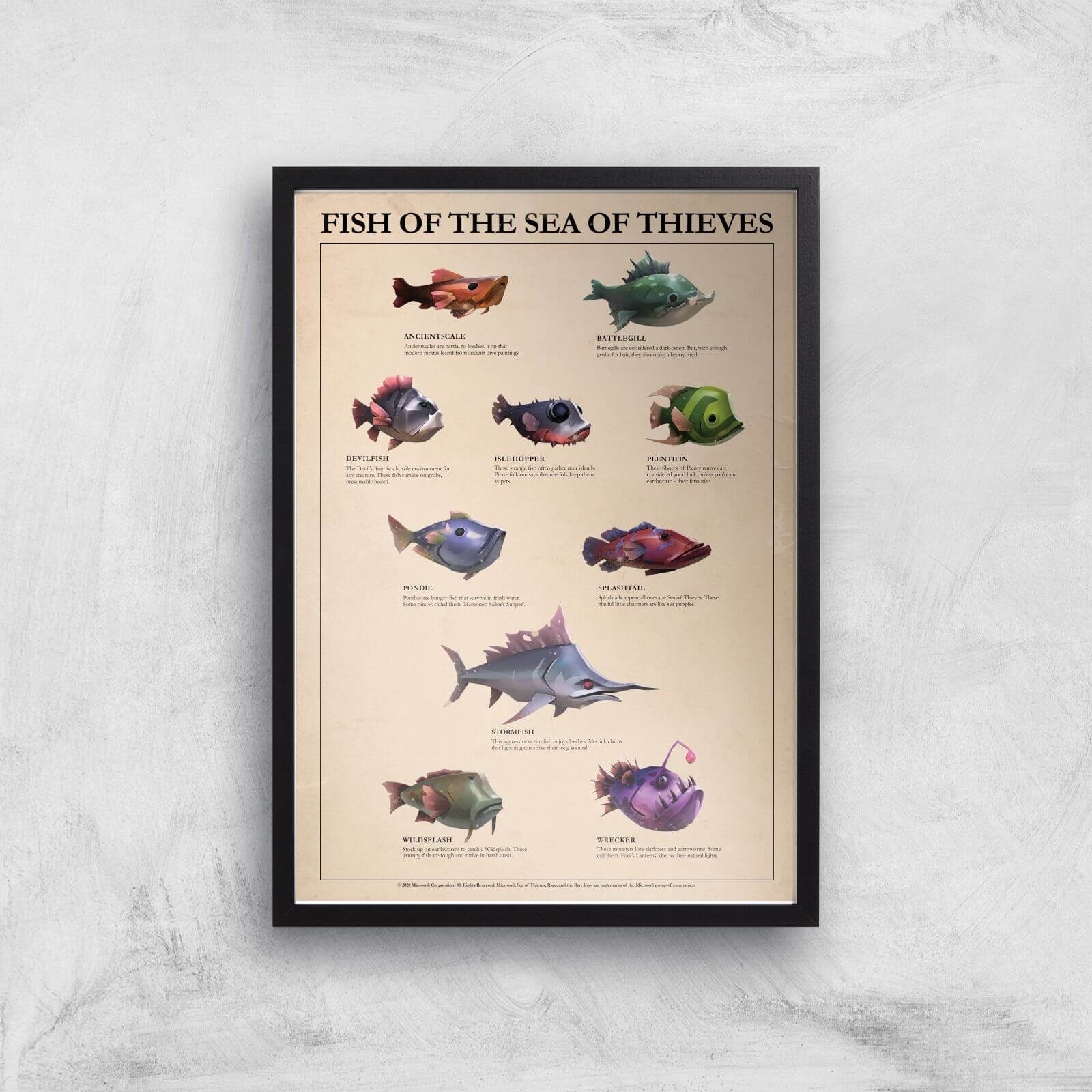 

Fish Of The Sea Of Thieves Giclee Art Print - A3 - Black Frame