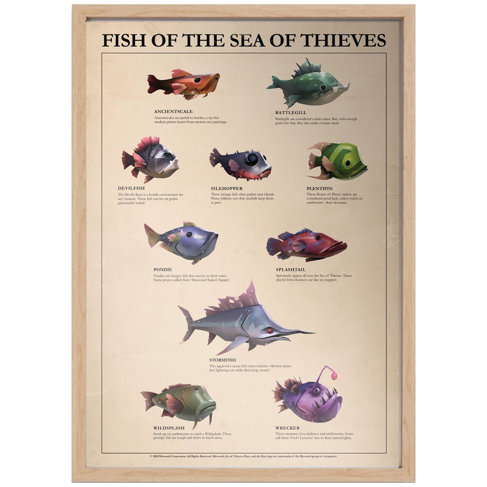 Fish Of The Sea Of Thieves Giclee Art Print - A2 - Wooden Frame