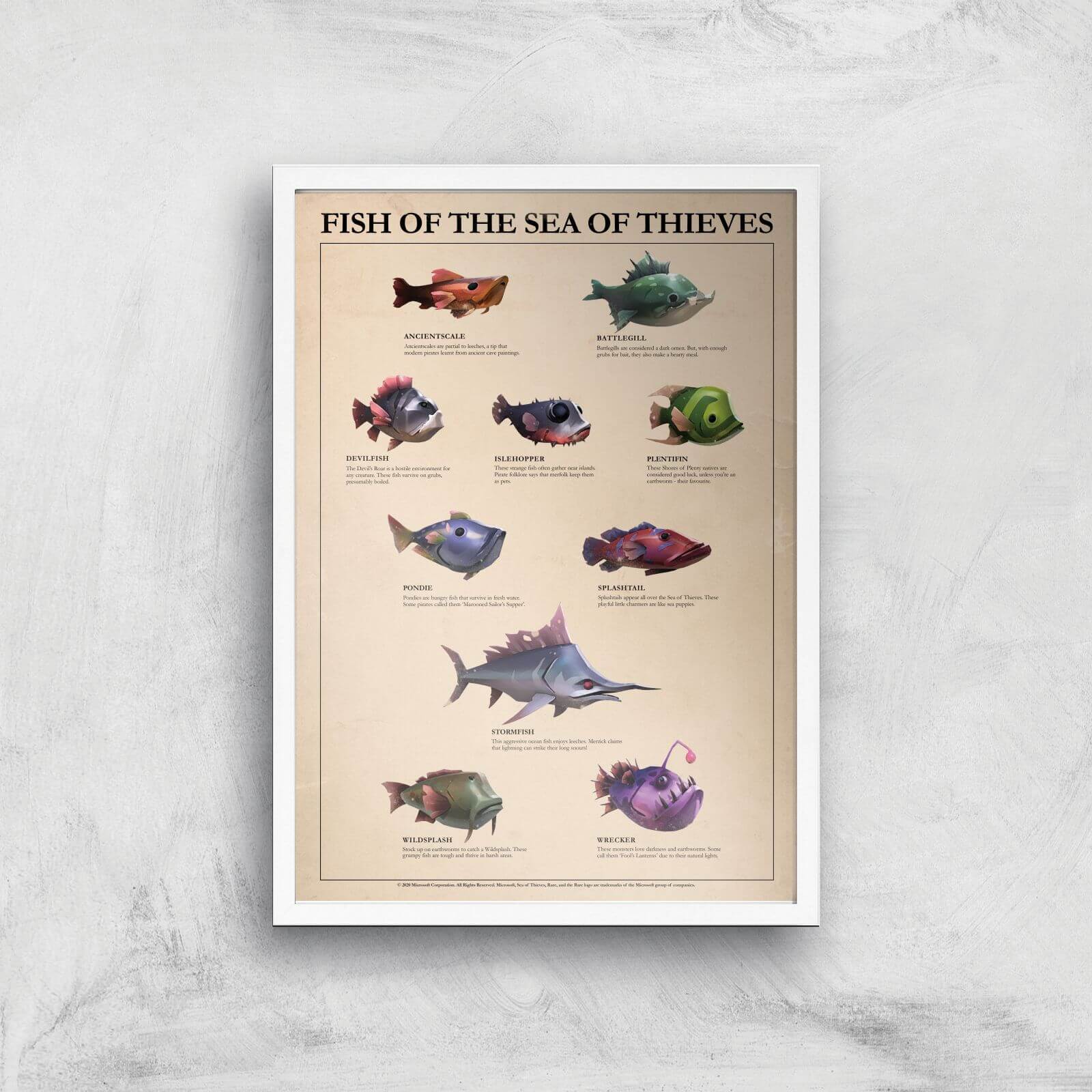 

Fish Of The Sea Of Thieves Giclee Art Print - A2 - White Frame