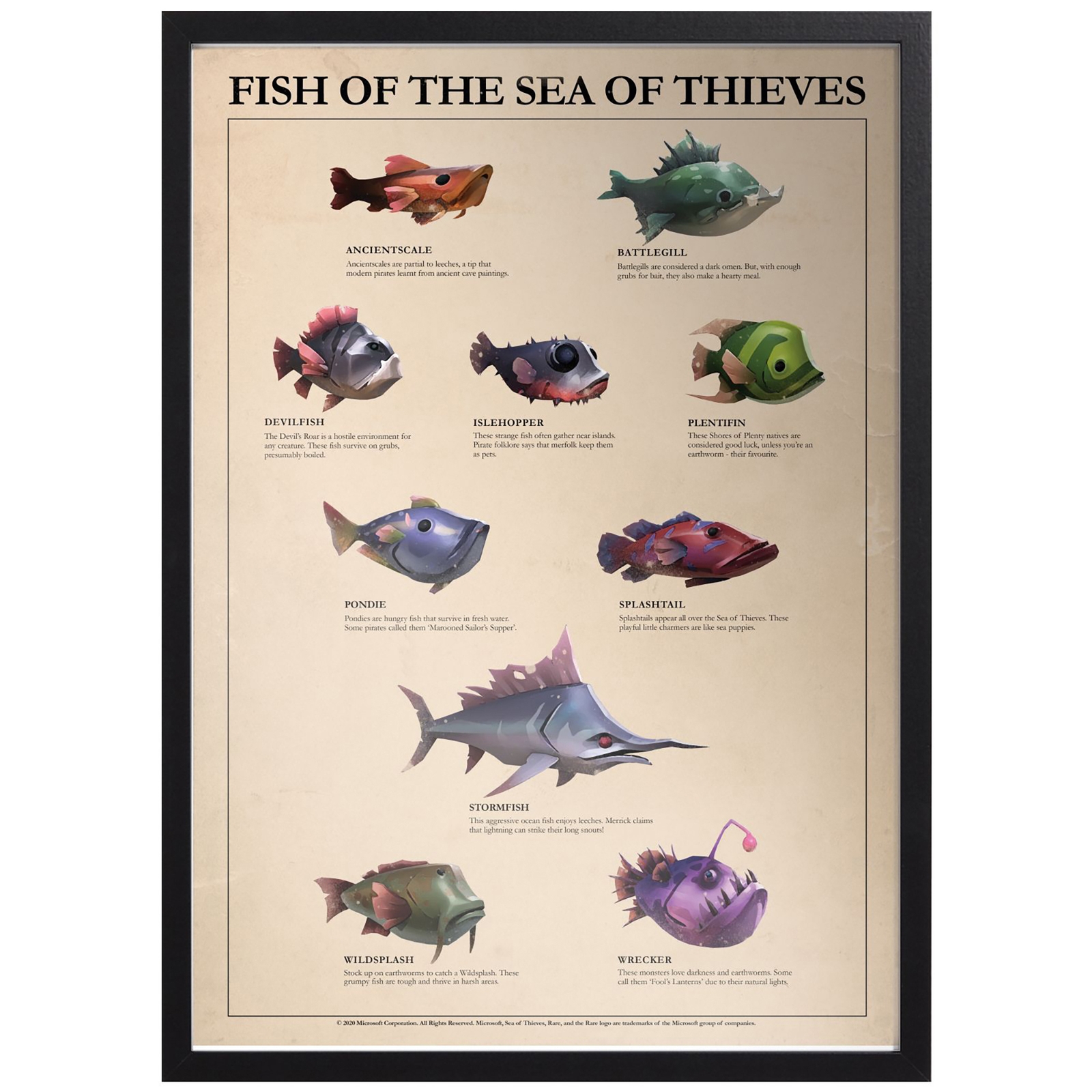 Fish Of The Sea Of Thieves Giclee Art Print - A2 - Black Frame