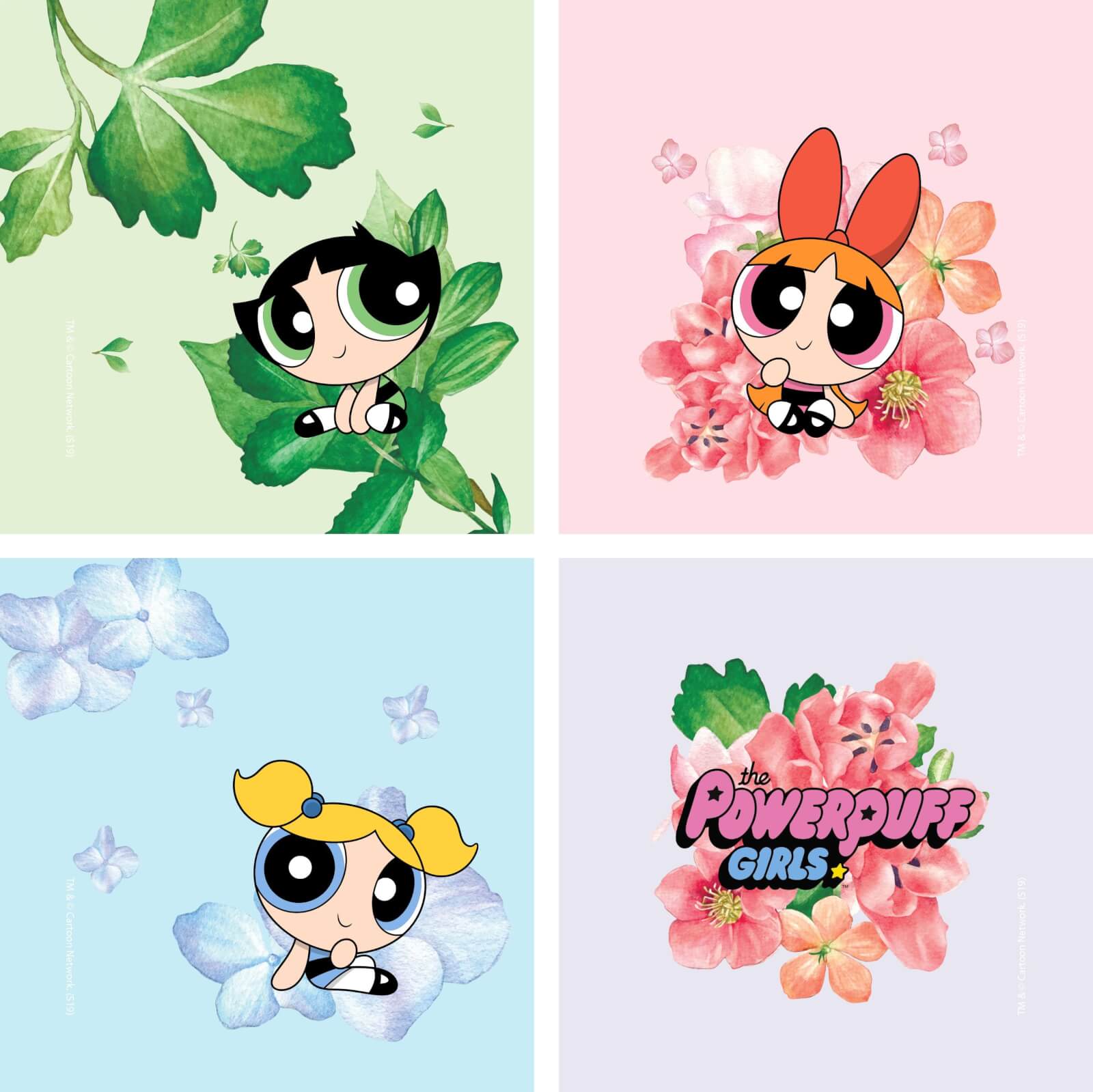The Powerpuff Girls Floral Coaster Coaster Set