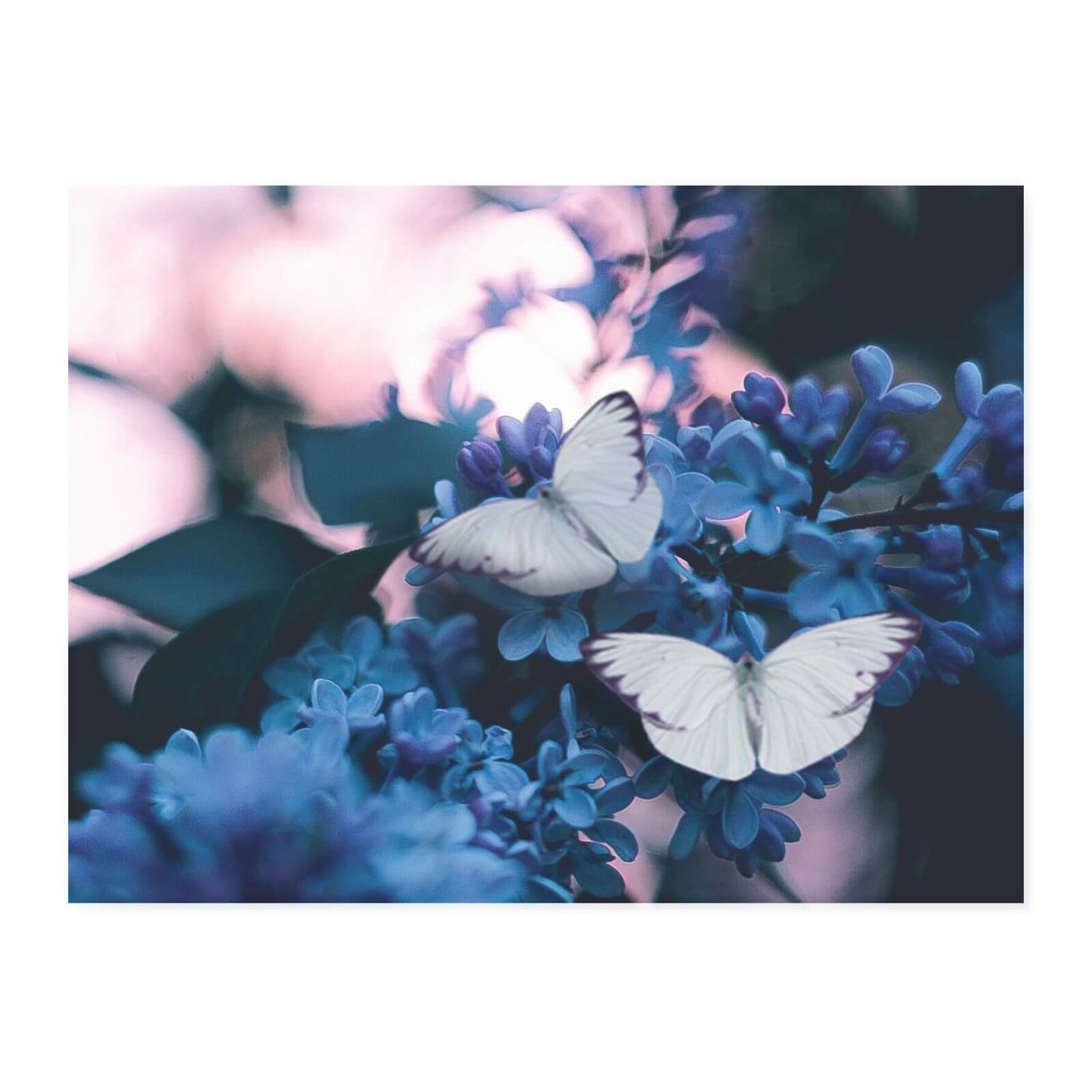 Butterflies Chopping Board