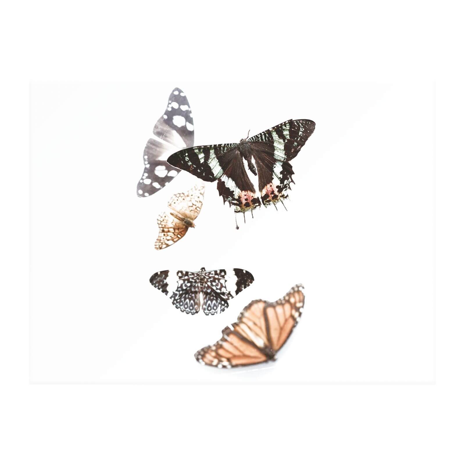 Isolated Butterflies Chopping Board