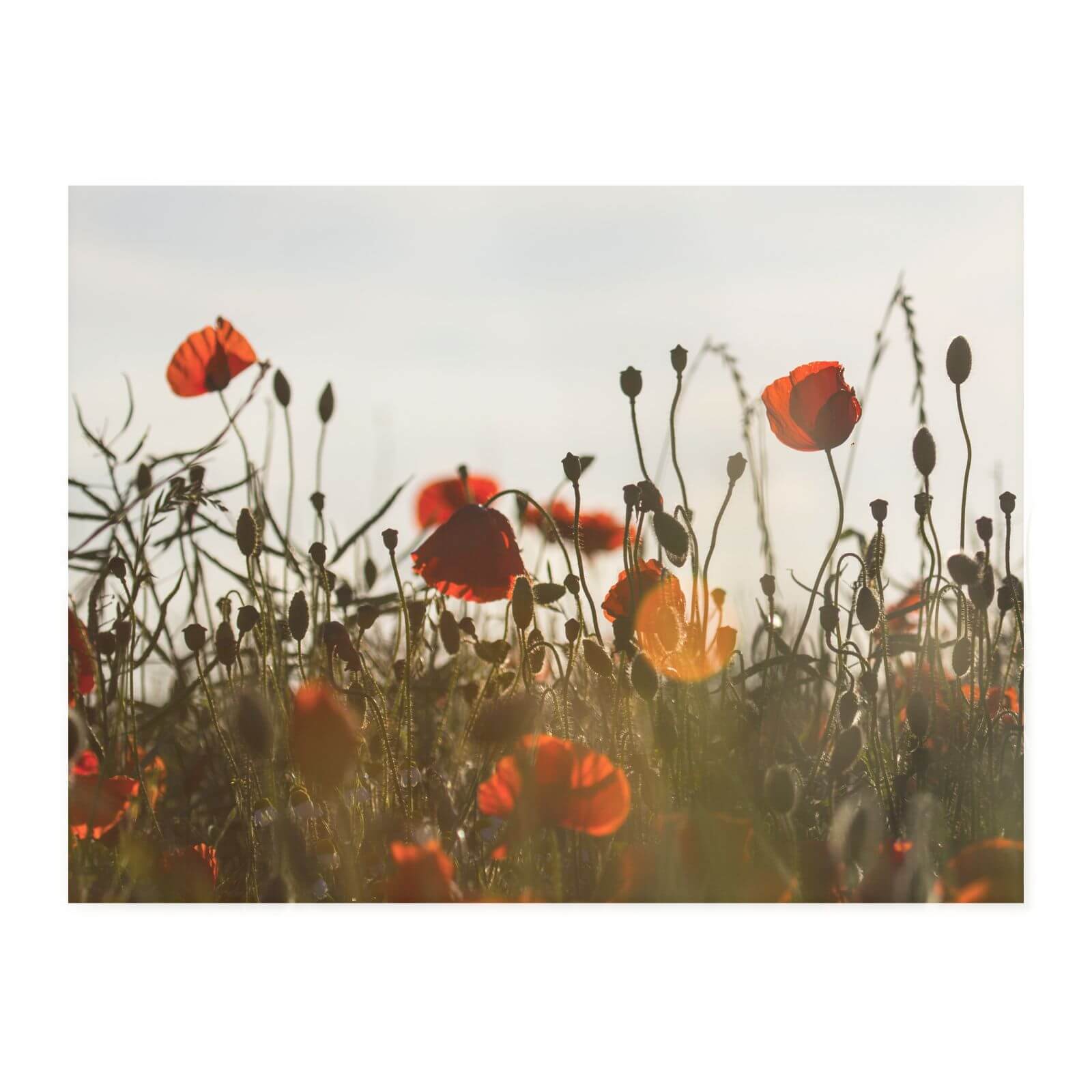 Summer Flowers Chopping Board