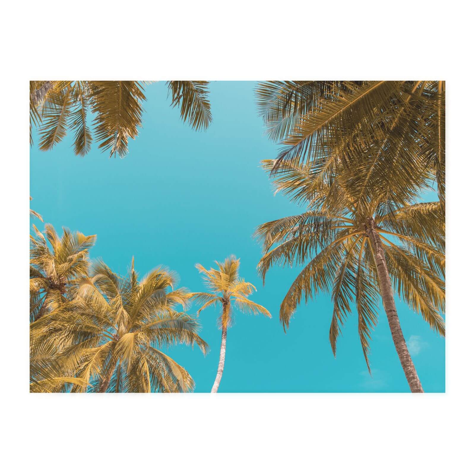 Palm Trees Chopping Board