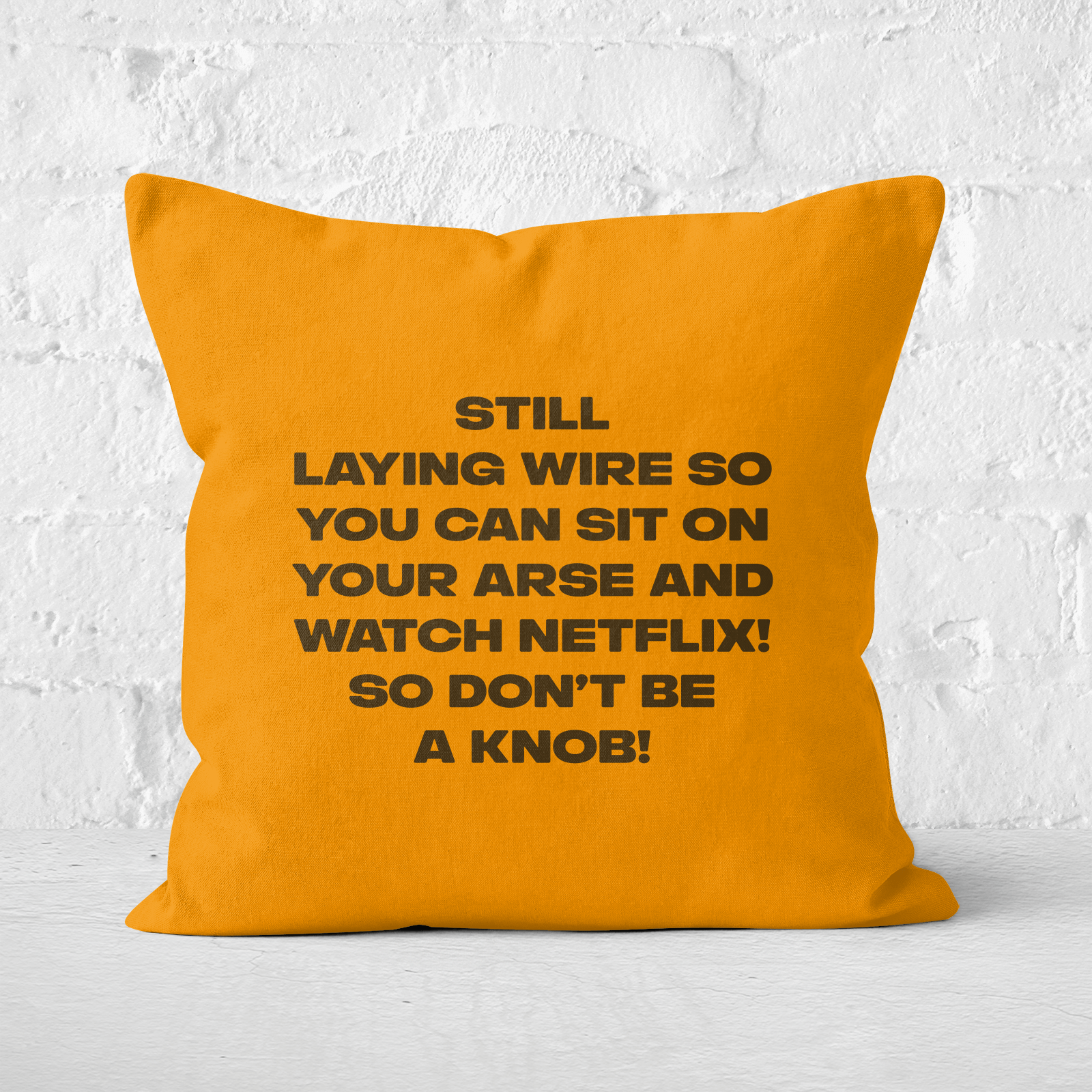Still Laying Wire Square Cushion - 50x50cm - Soft Touch
