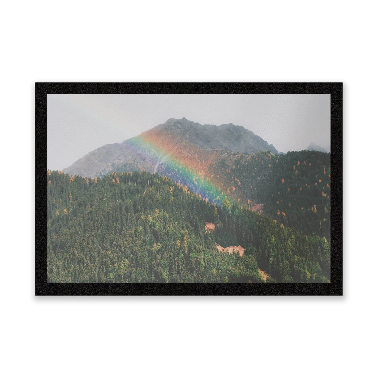 Meadow Rainbow Entrance Mat