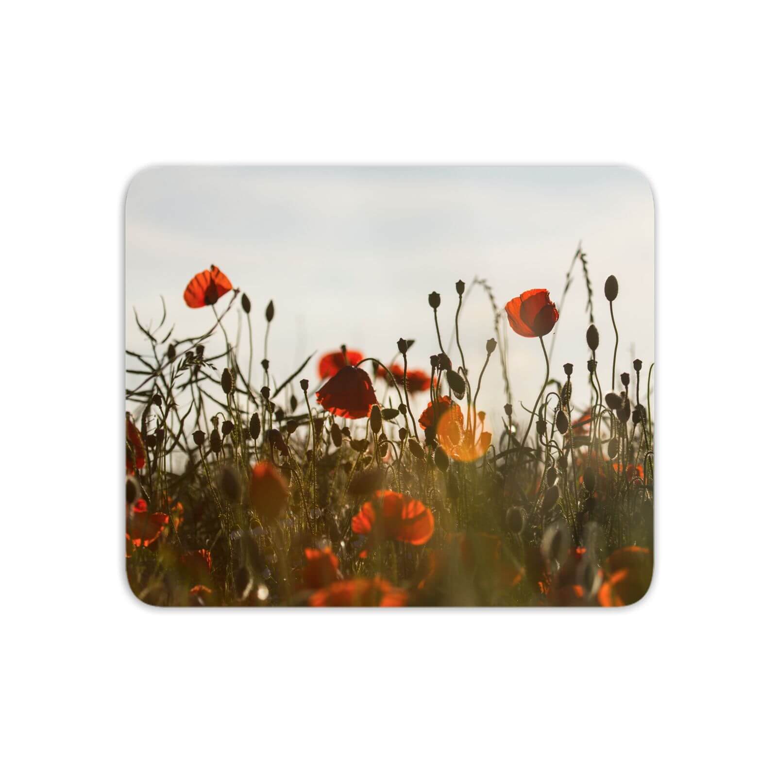 Summer Flowers Mouse Mat