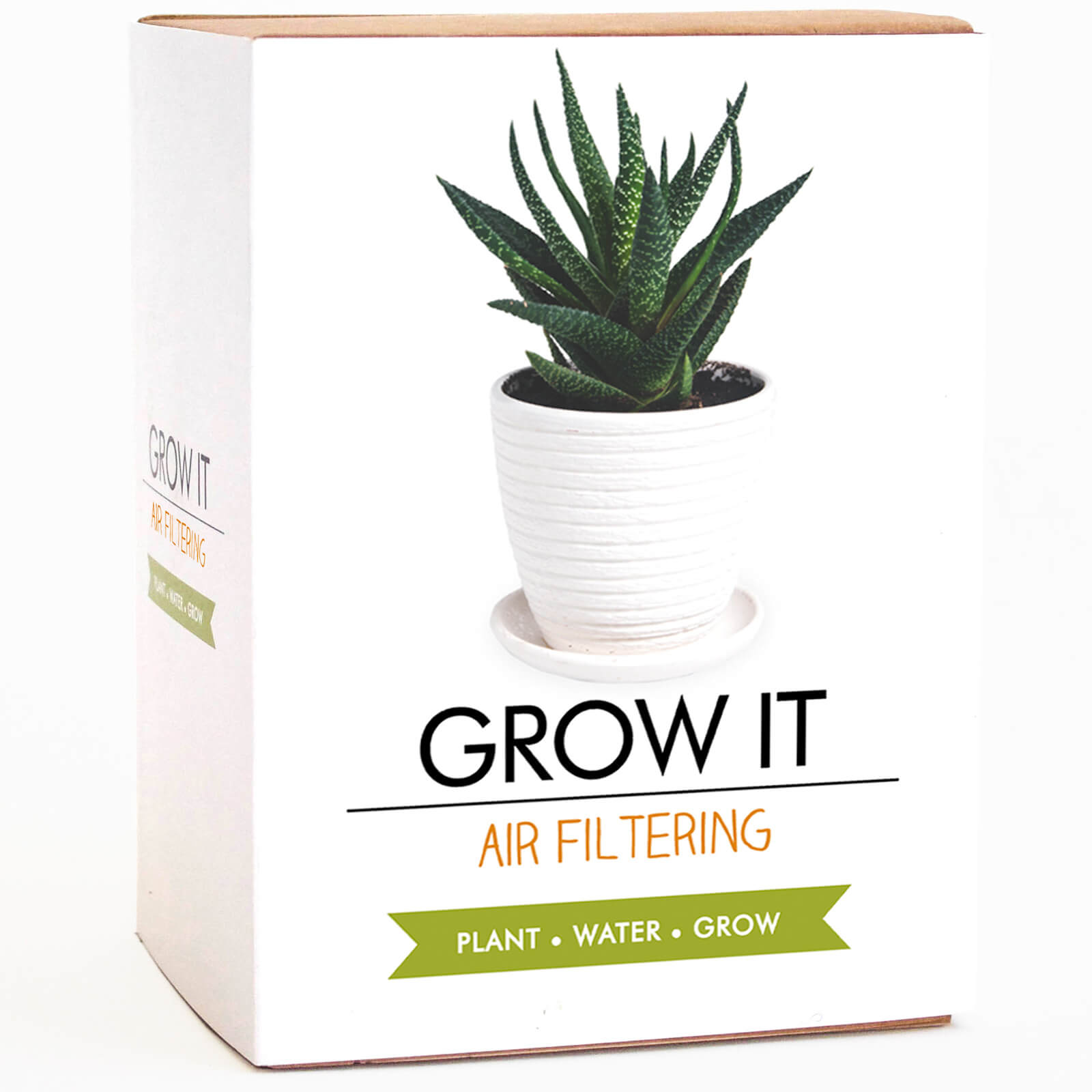 Image of Grow It - Air Filtering Plant