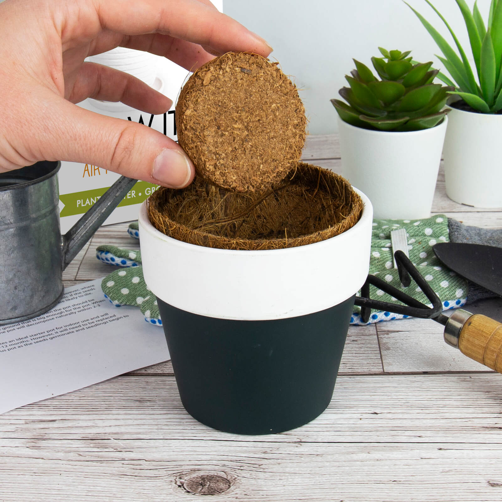 Grow It - Air Filtering Plant
