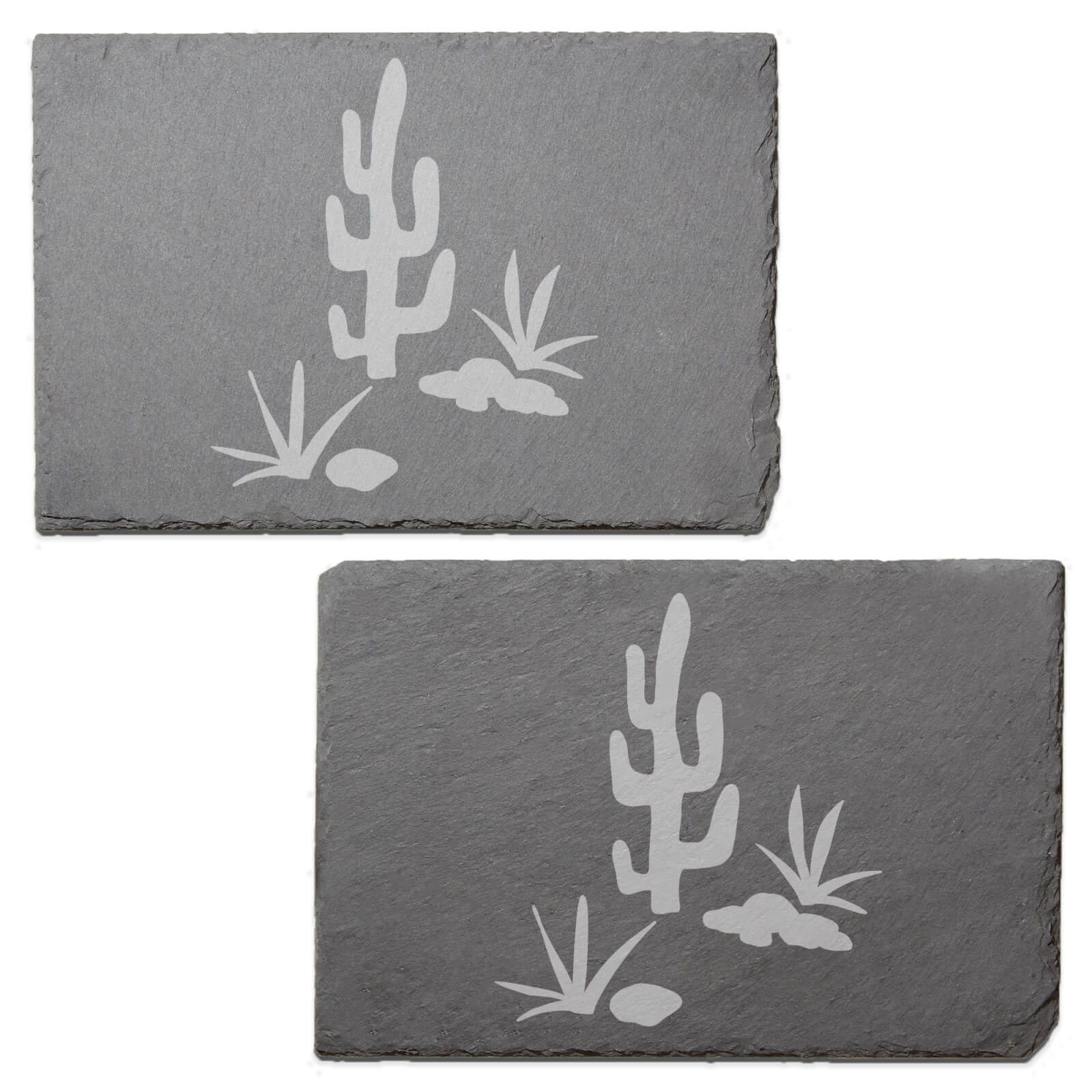 Cactus Scene Engraved Slate Placemat - Set of 2