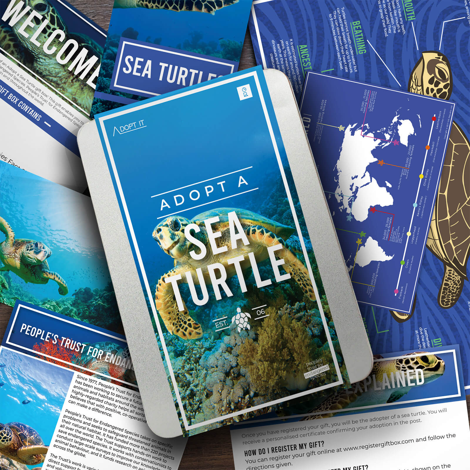 Adopt a Sea Turtle Gift Tin