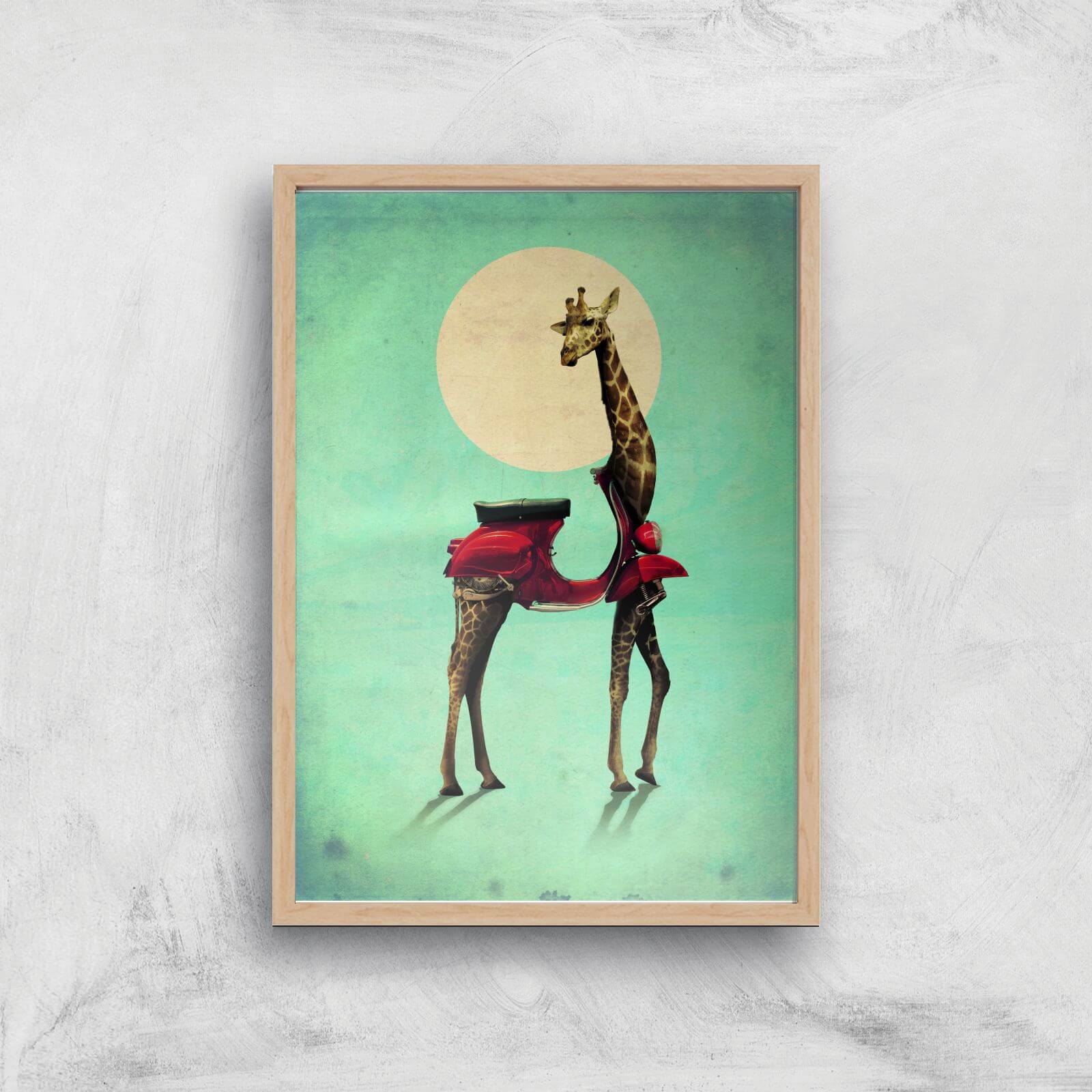 Ikiiki Giraffe Giclee Art Print - A2 - Wooden Frame