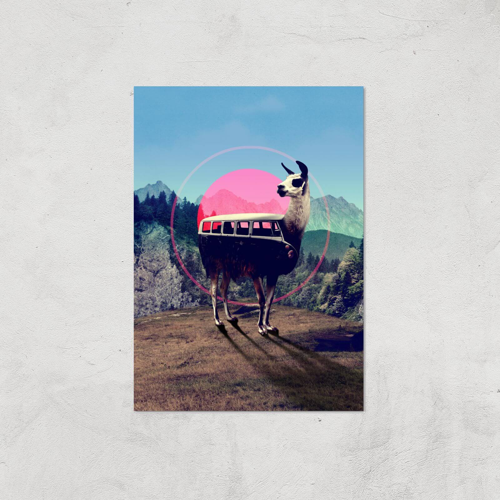 Ikiiki Llama Giclee Art Print - A4 - Print Only