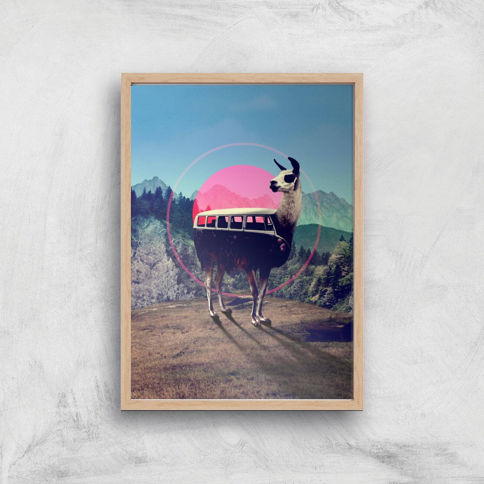 Ikiiki Llama Giclee Art Print - A3 - Wooden Frame