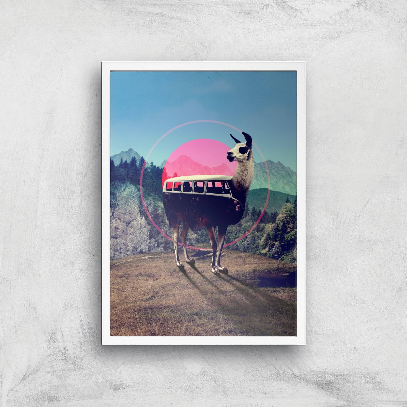 Ikiiki Llama Giclee Art Print - A2 - White Frame