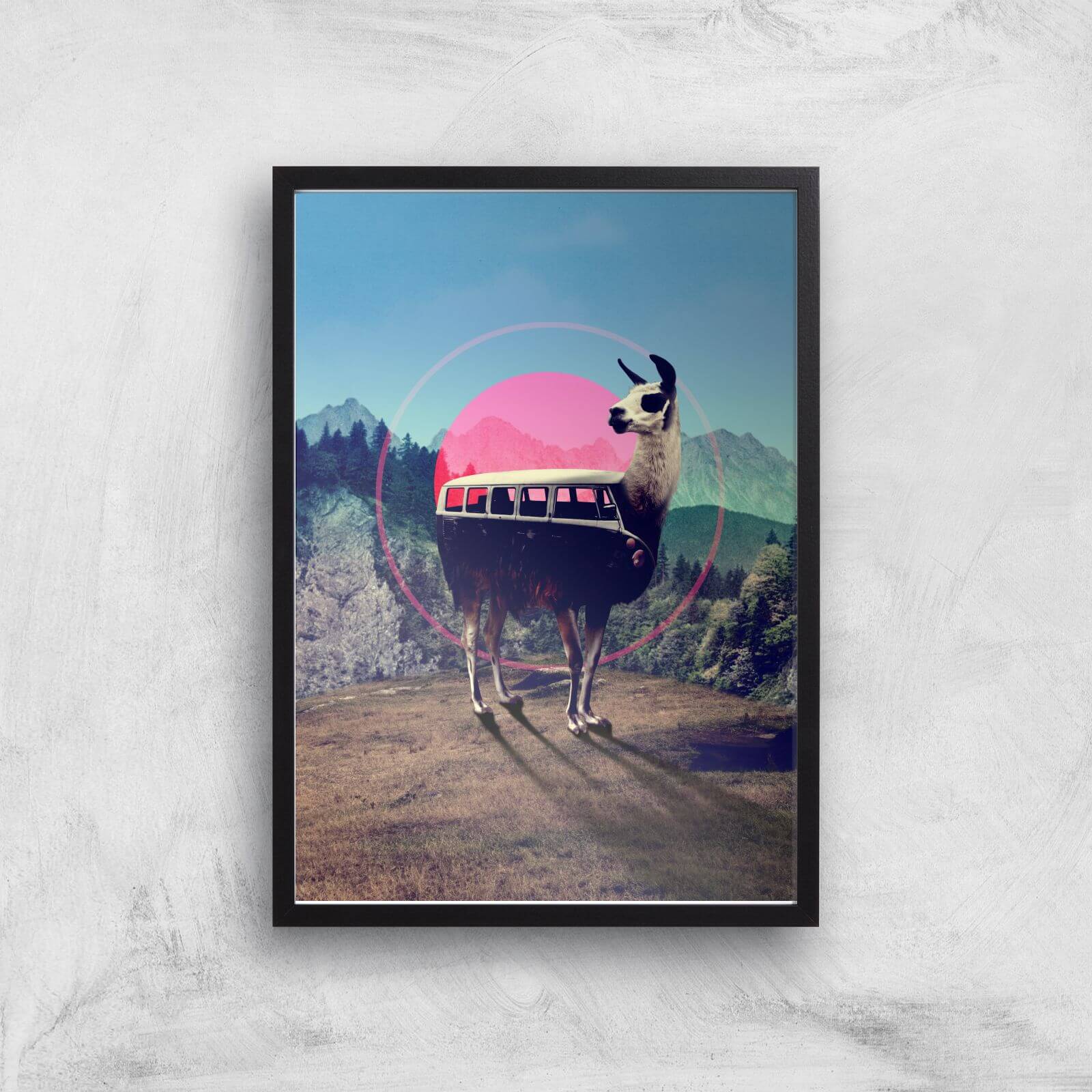 Ikiiki Llama Giclee Art Print - A2 - Black Frame