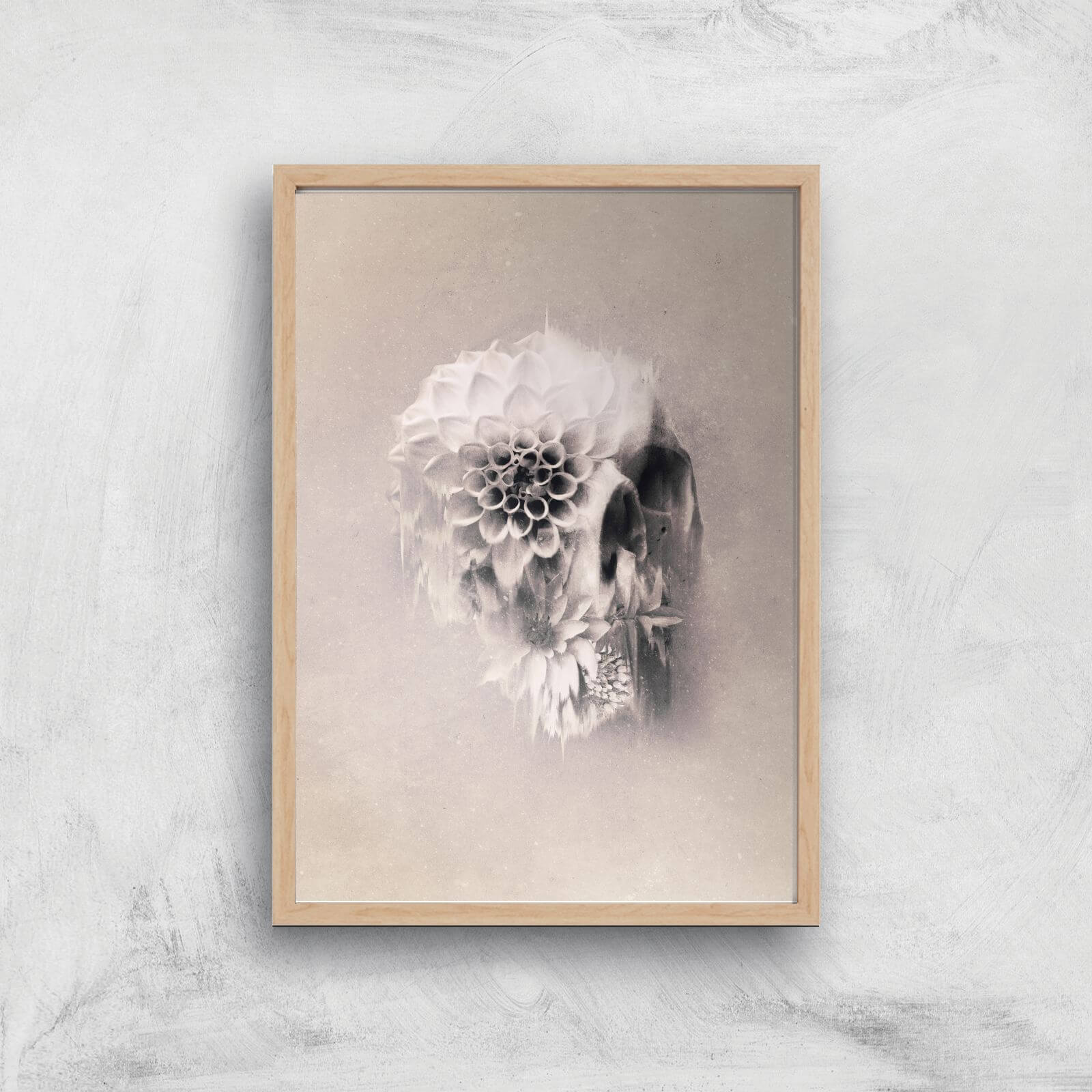 Ikiiki Decay Skull Giclee Art Print - A4 - Wooden Frame