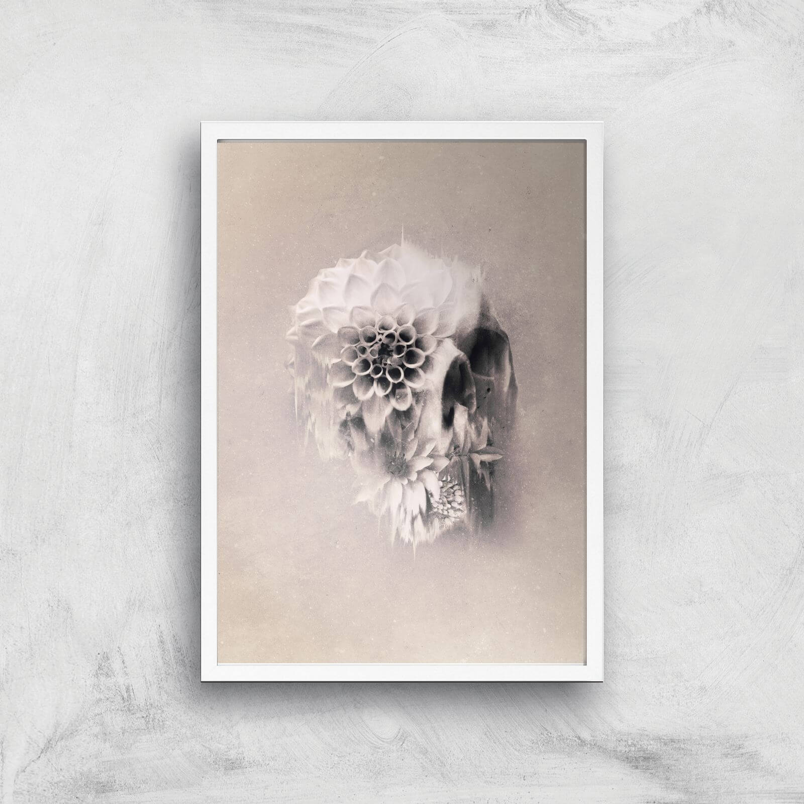 Ikiiki Decay Skull Giclee Art Print - A3 - White Frame
